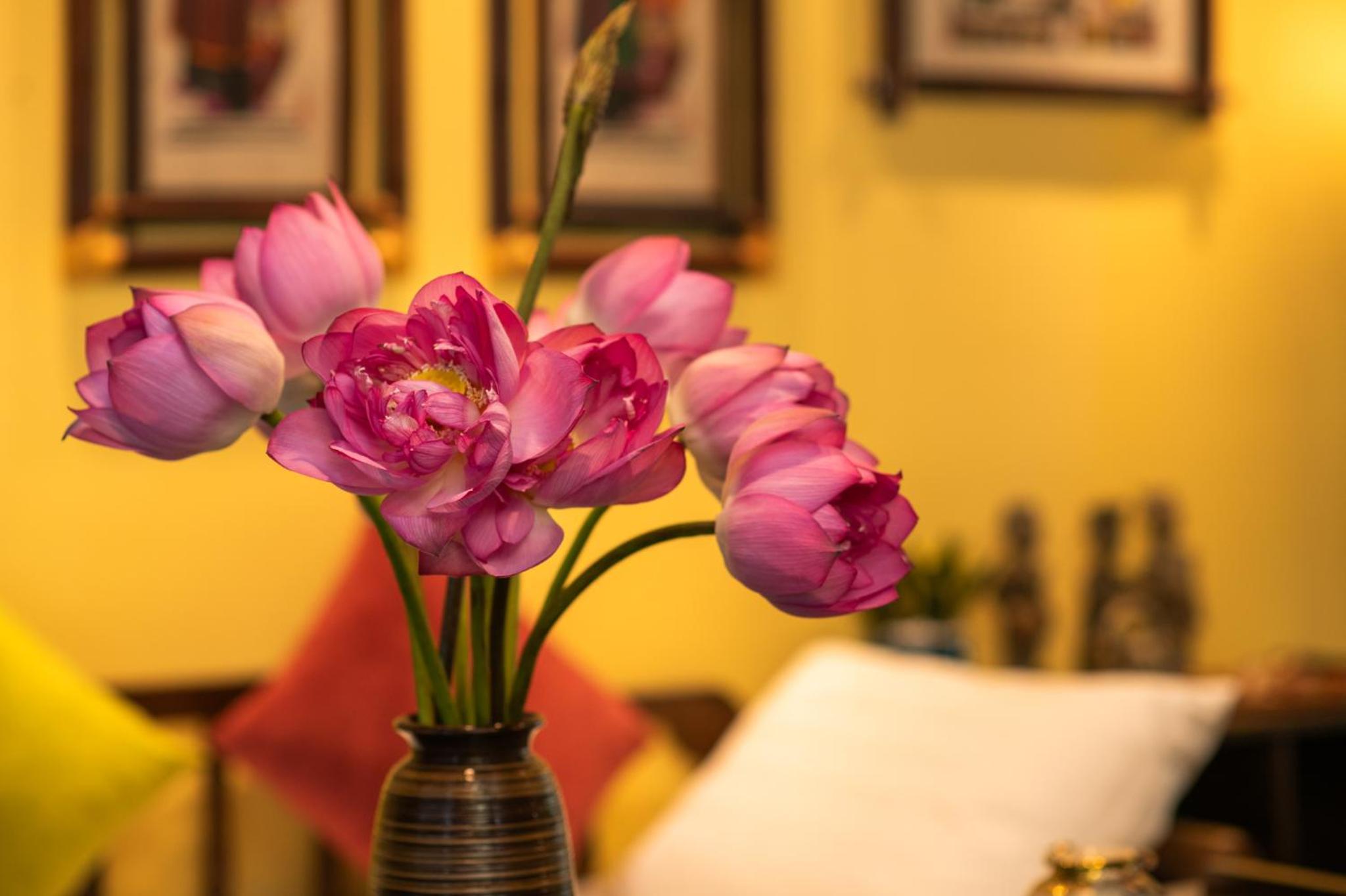 Old Quarter Lux Boutique Train View Studio Retreat