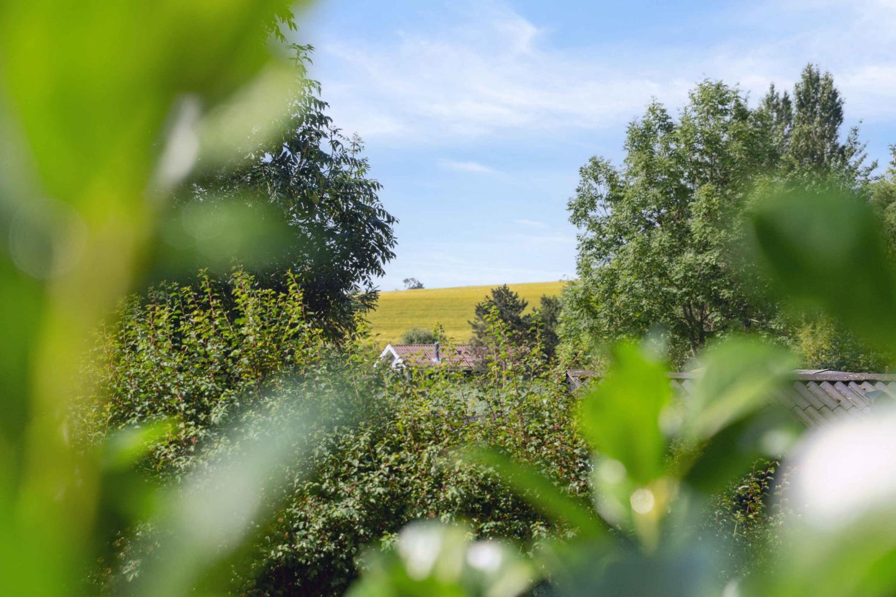 Lovely Summer House Close To Stillinge Beach