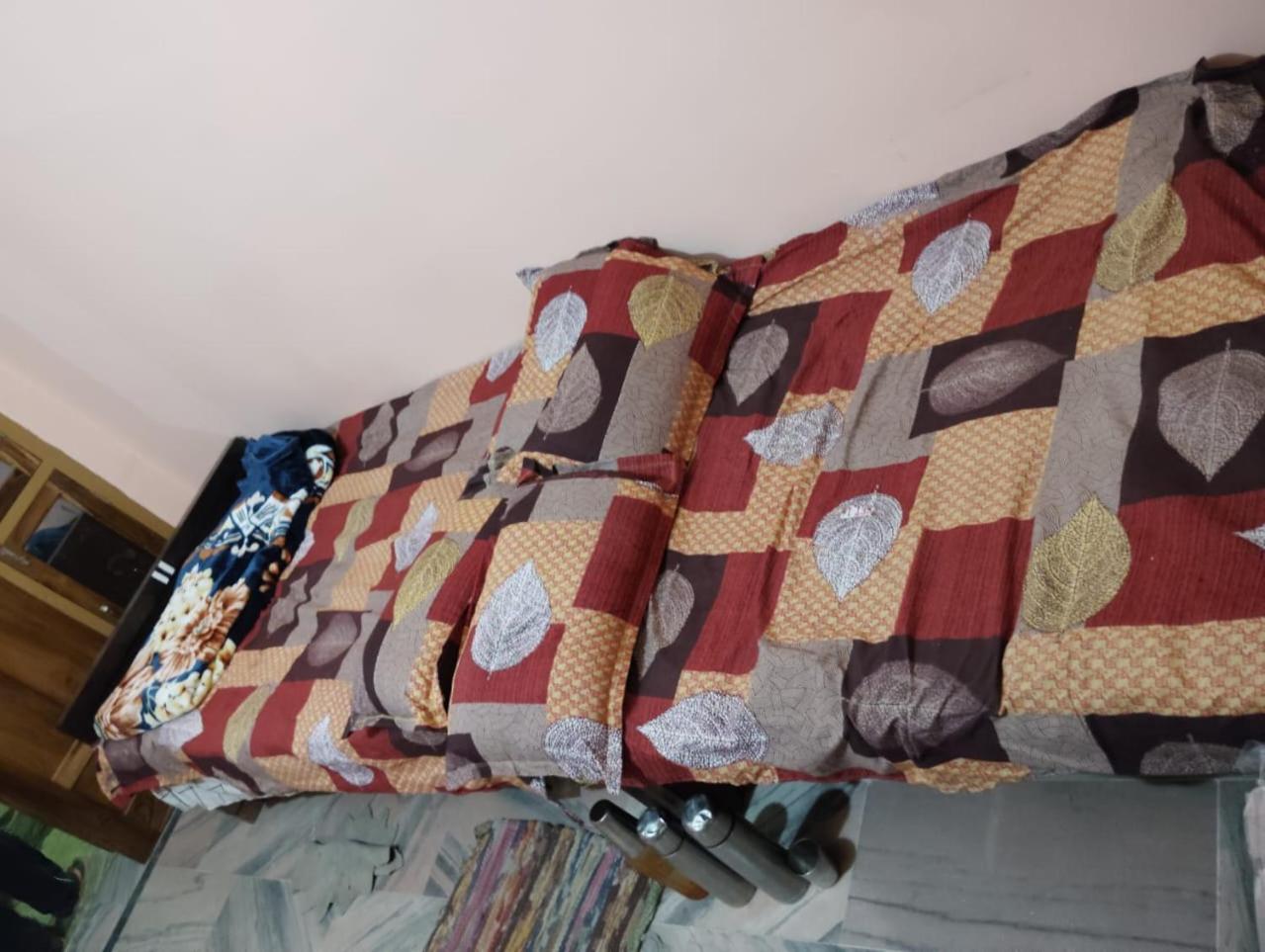 Trimila Paying Guest House view 2