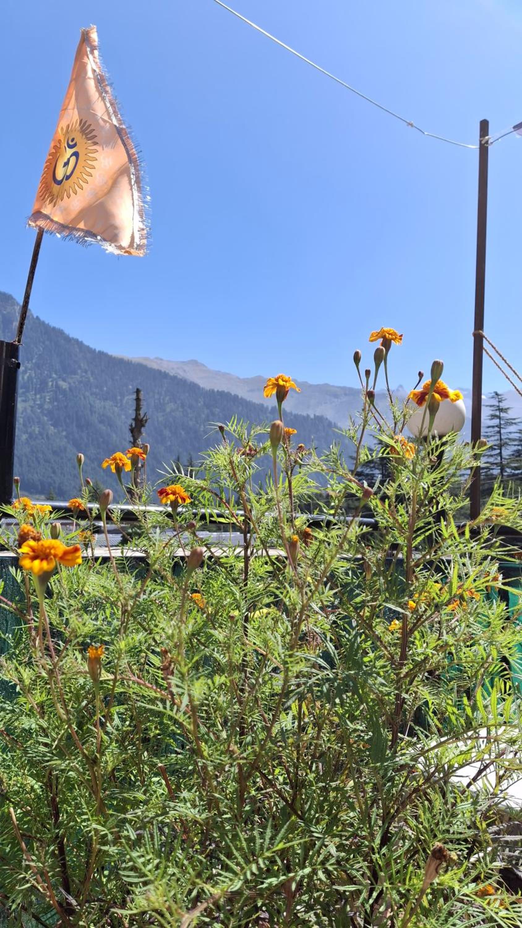 Sky Mountains Manali