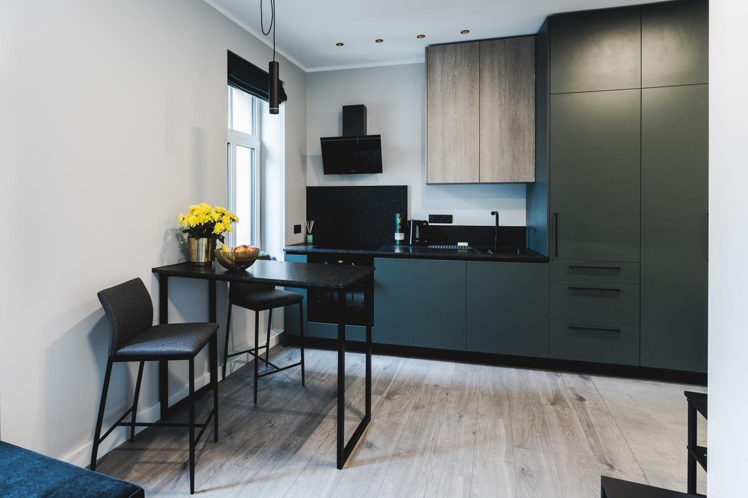 Dzirnavu Apartment