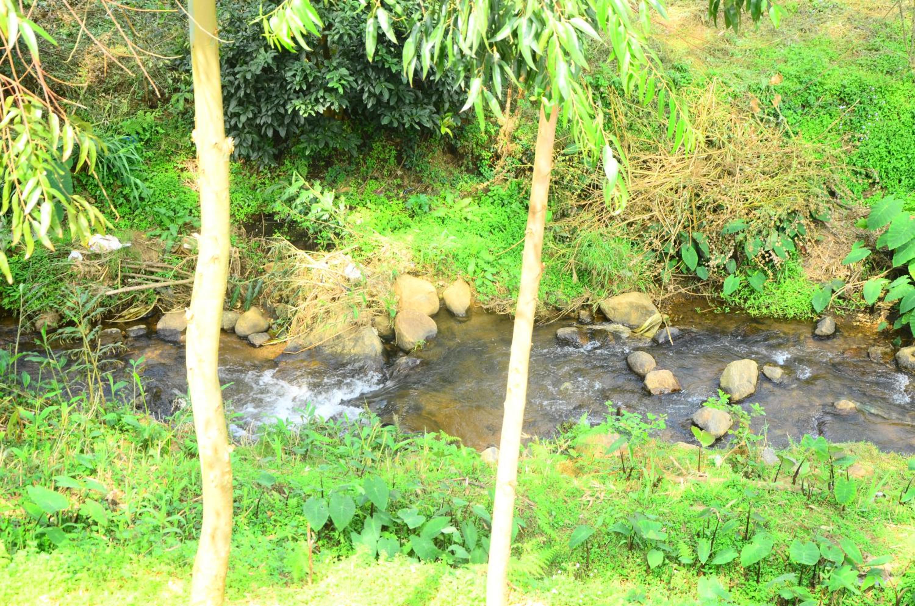 Photo 48