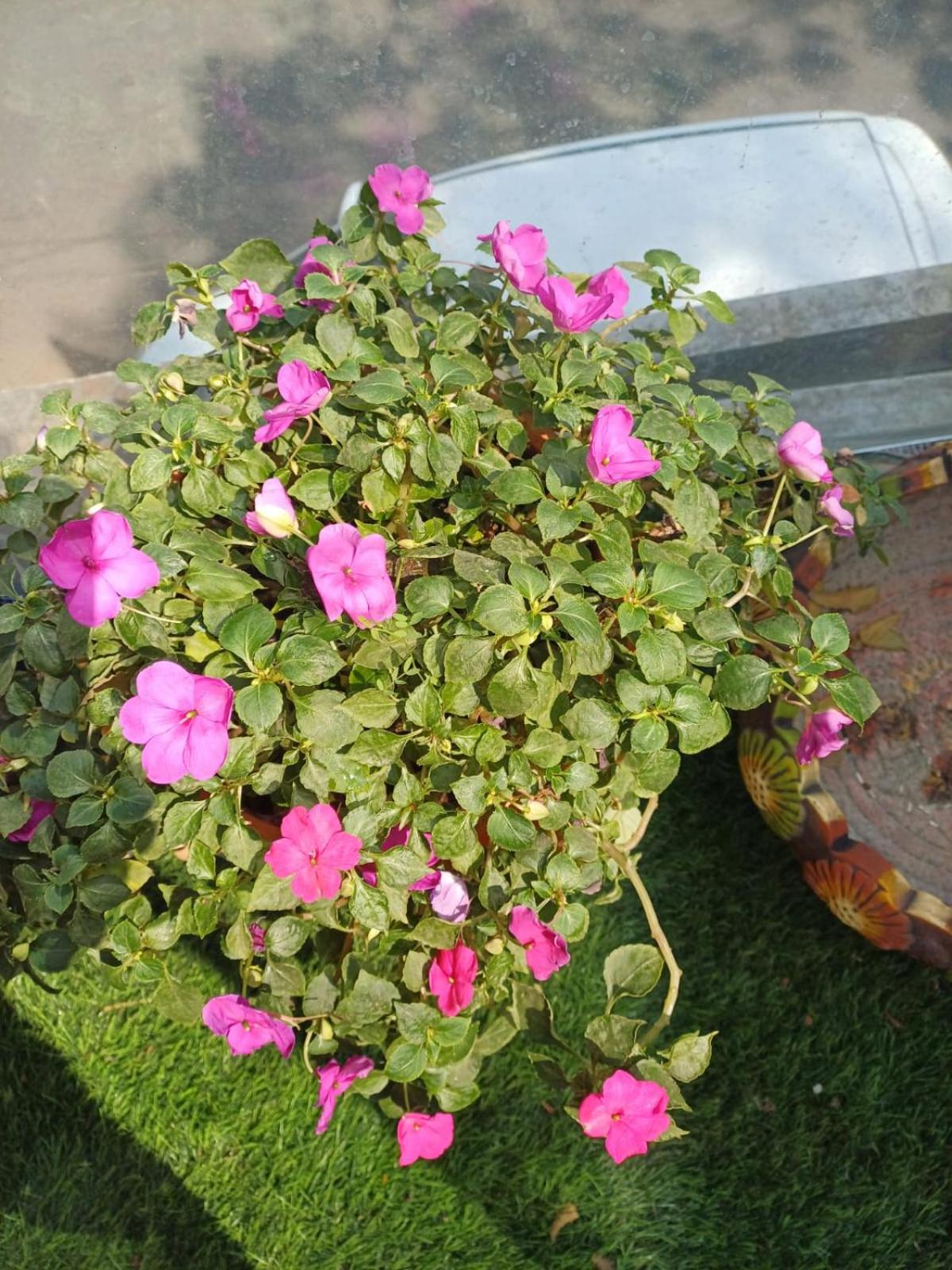 Photo 37
