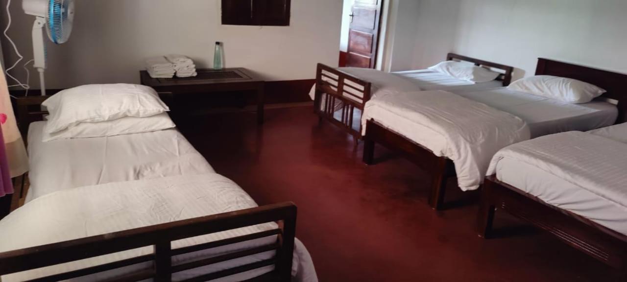 Misty Woods Homestay - Best homestay in Chikmagalur