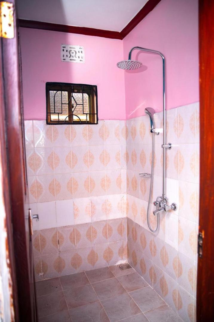 African Flamingo home