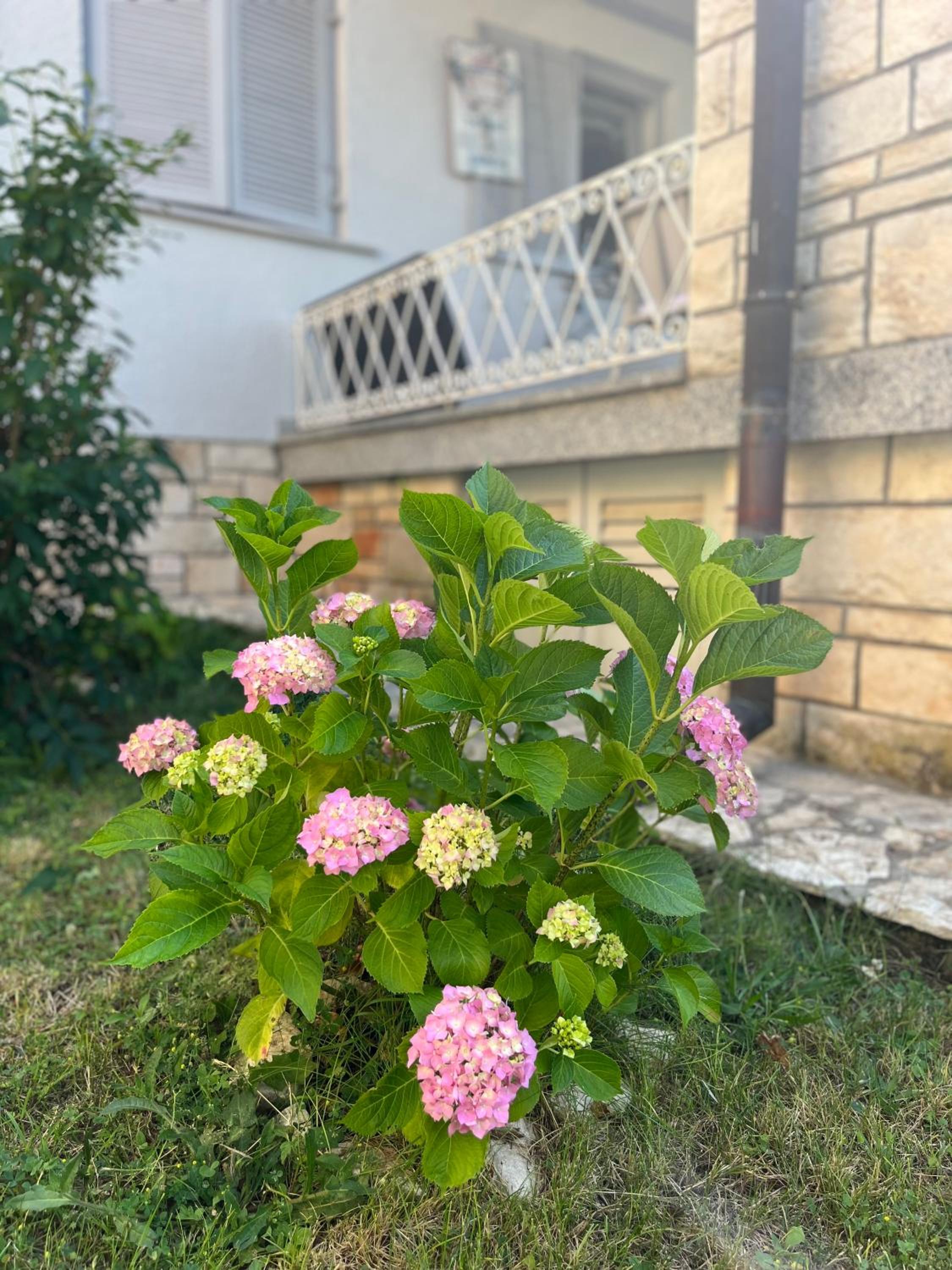 Villa Karigador, Umag- Karigador, Istria view 5