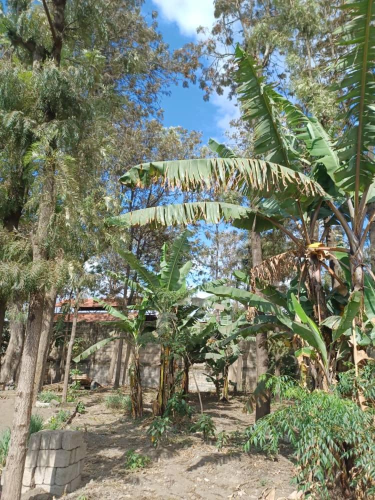 Kivulini Villa