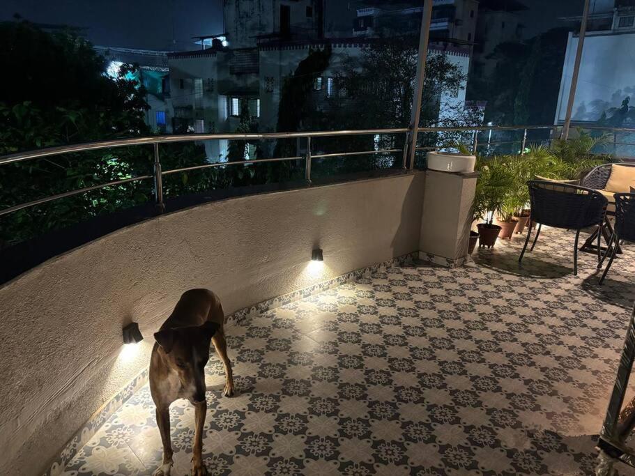 1 bhk apartment with open areas view 4