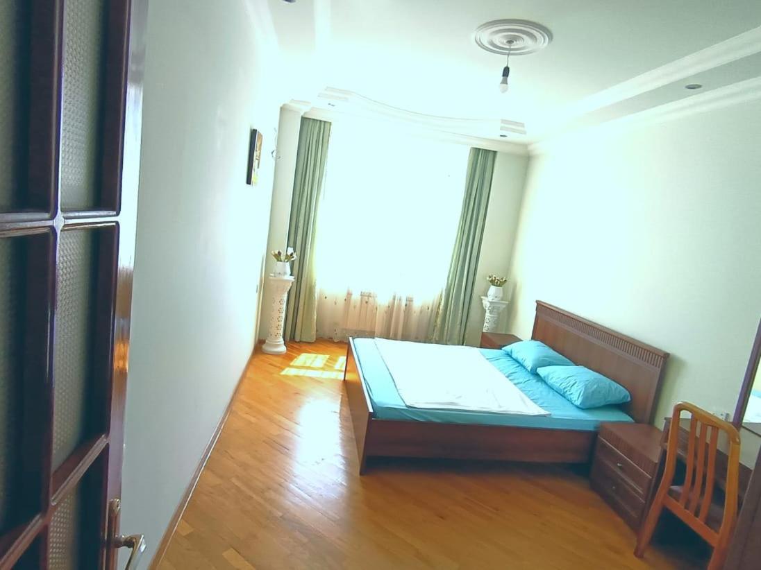 Cozy Apartment near Haydar Aliyev cener