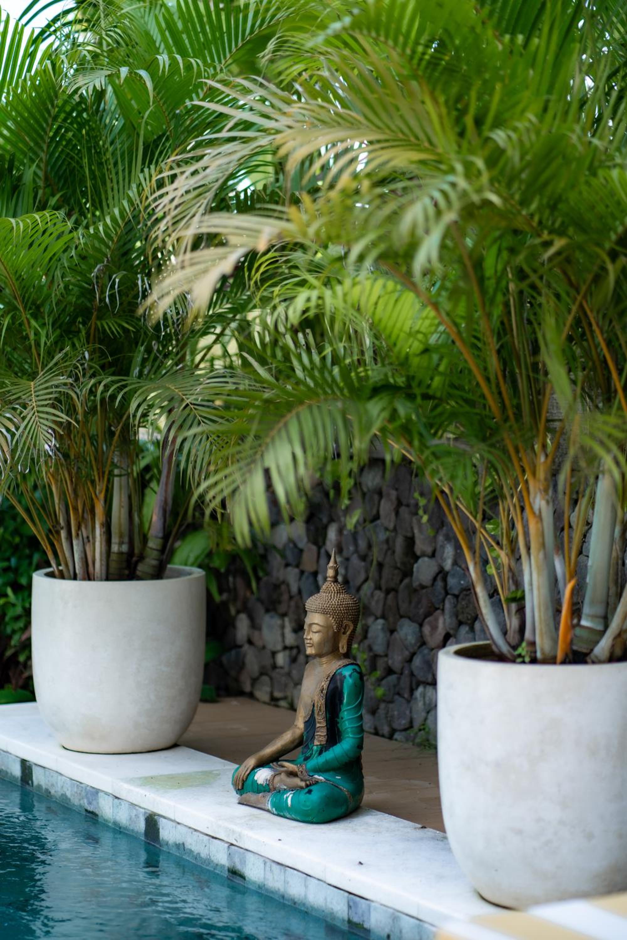 Villa Kaui Ubud- boutique villa with concierge view 4