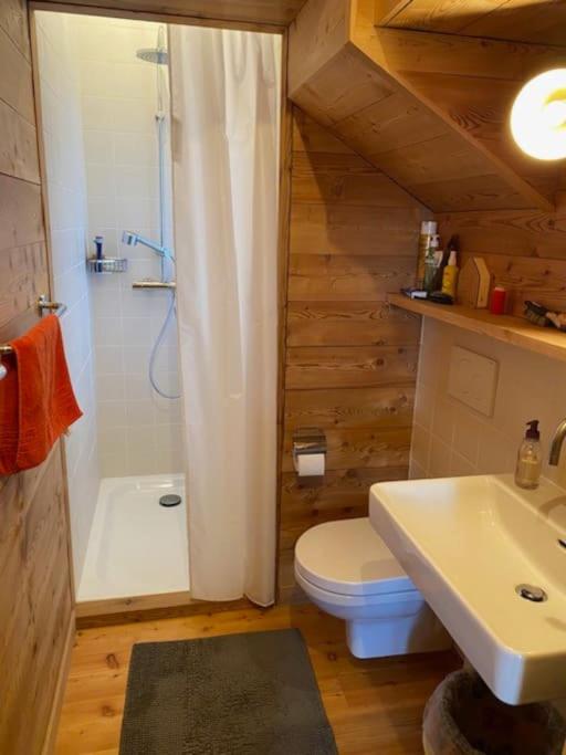 Chalet de La Tour Mayens de Sion 4 Vallées