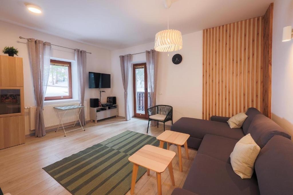Apartma Medved - Pokljuka view 3