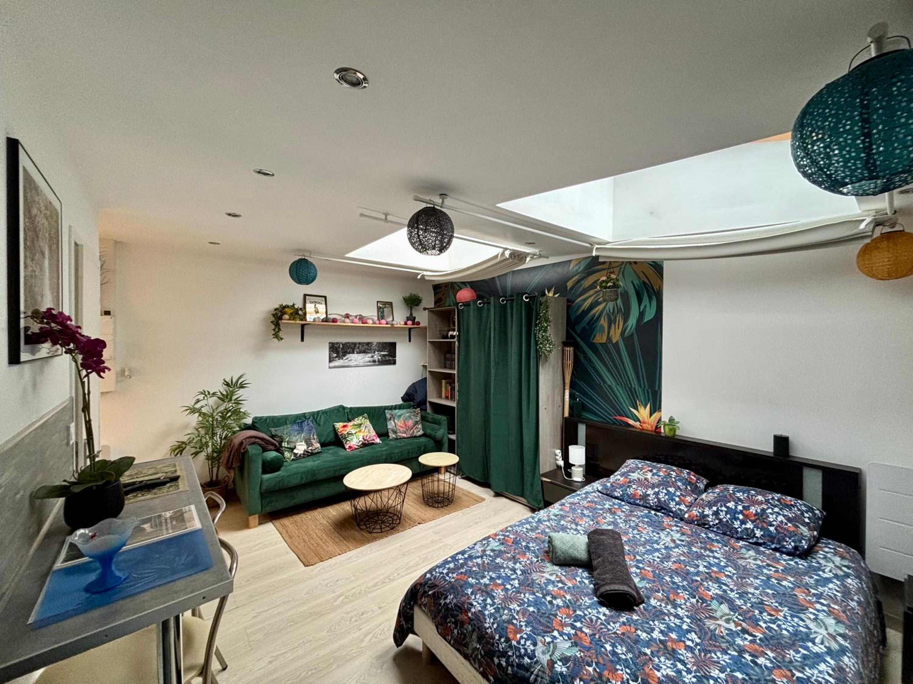Jungle Studio - 2P à 4P -Henriville view 3
