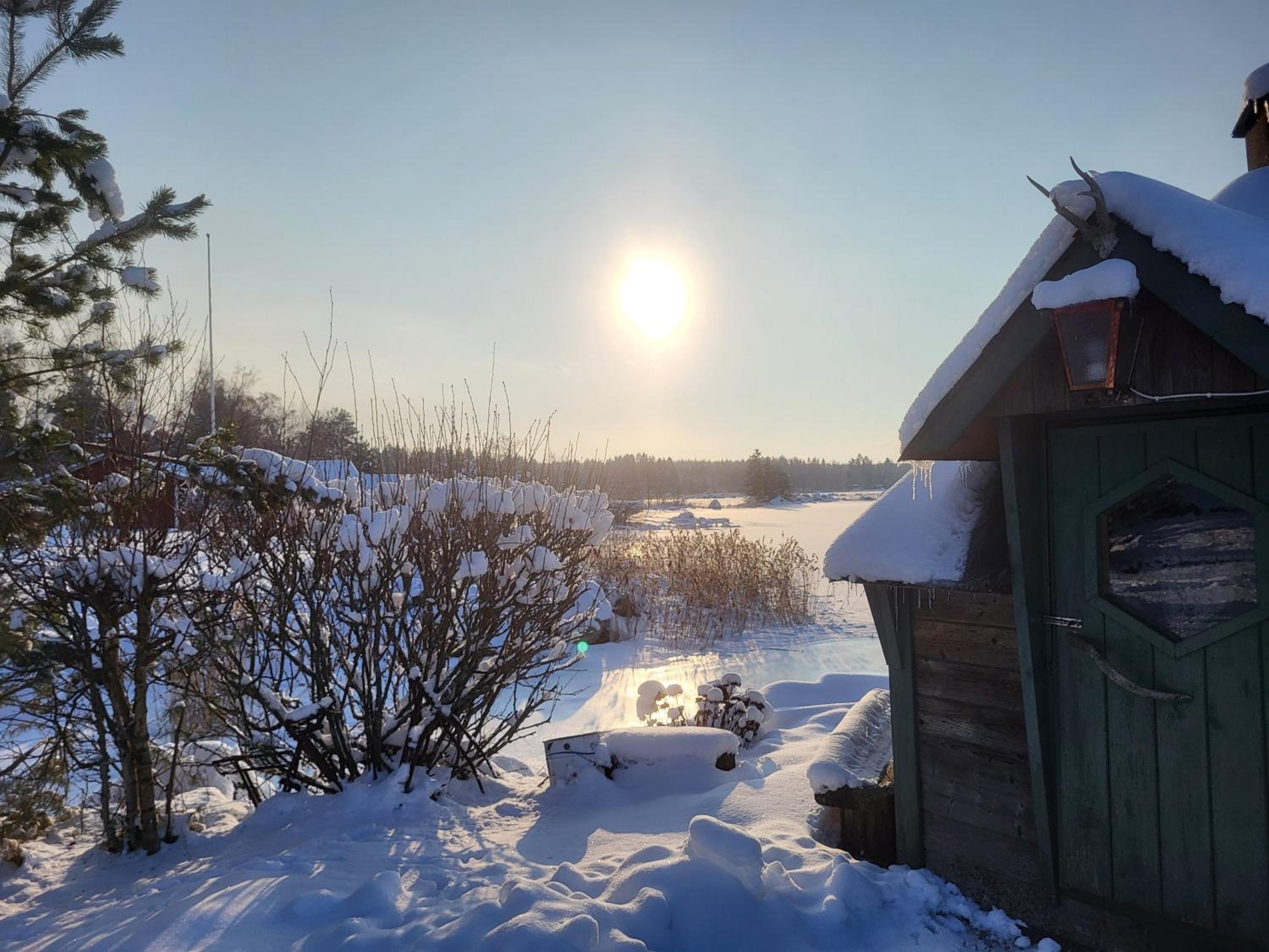 Photo 11