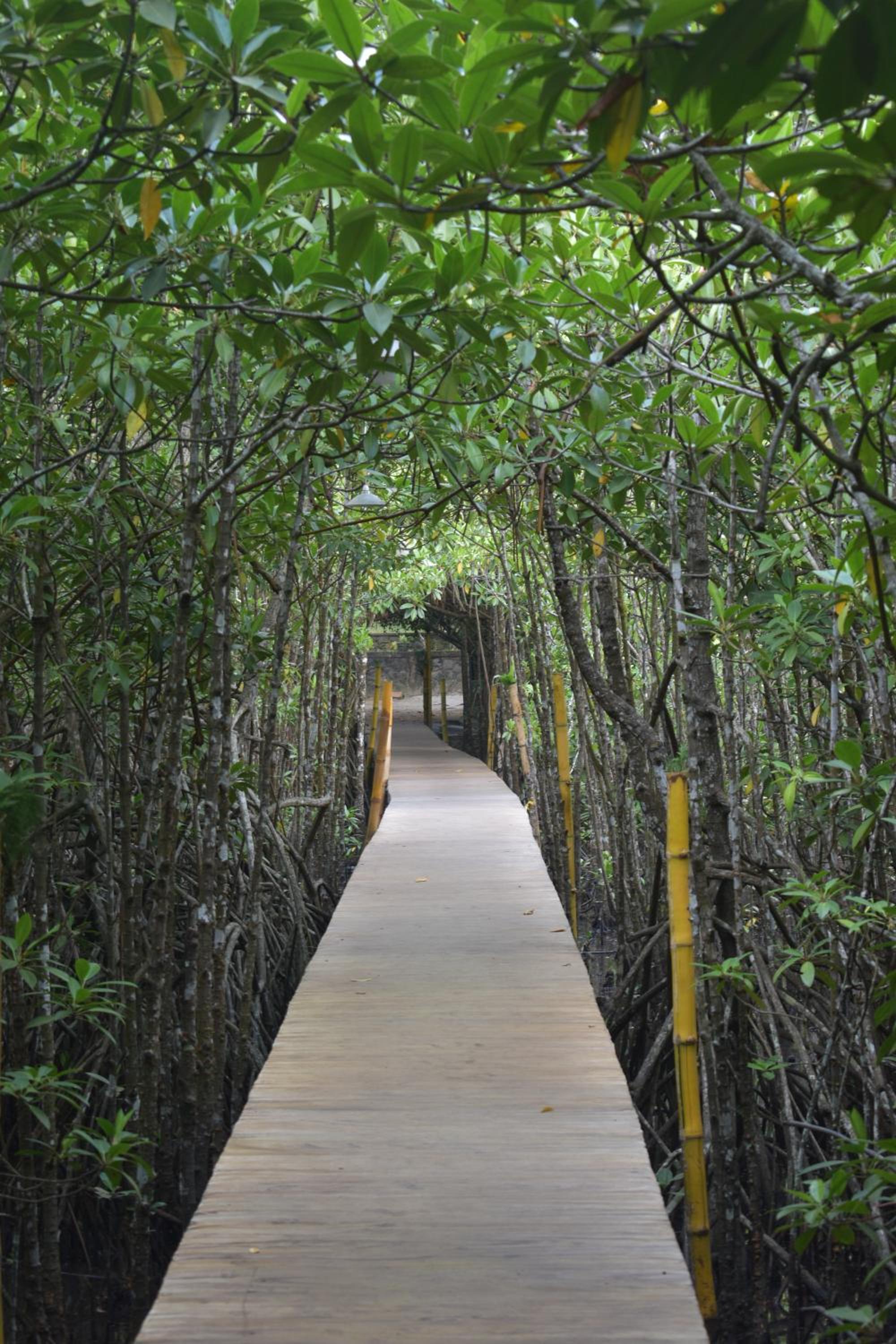 Shiny Lakeside Resort — photo 12