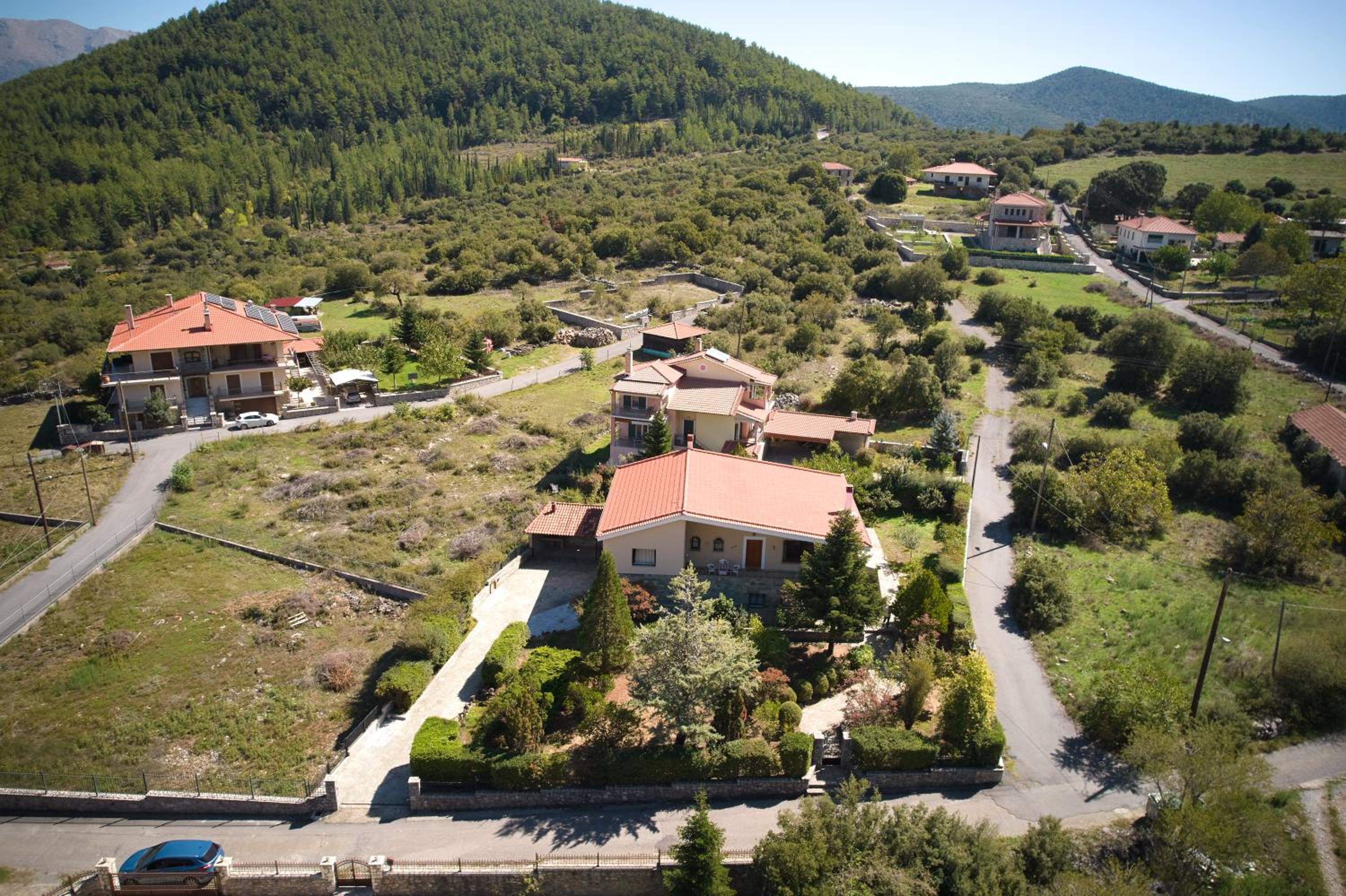 Levidi Horizon