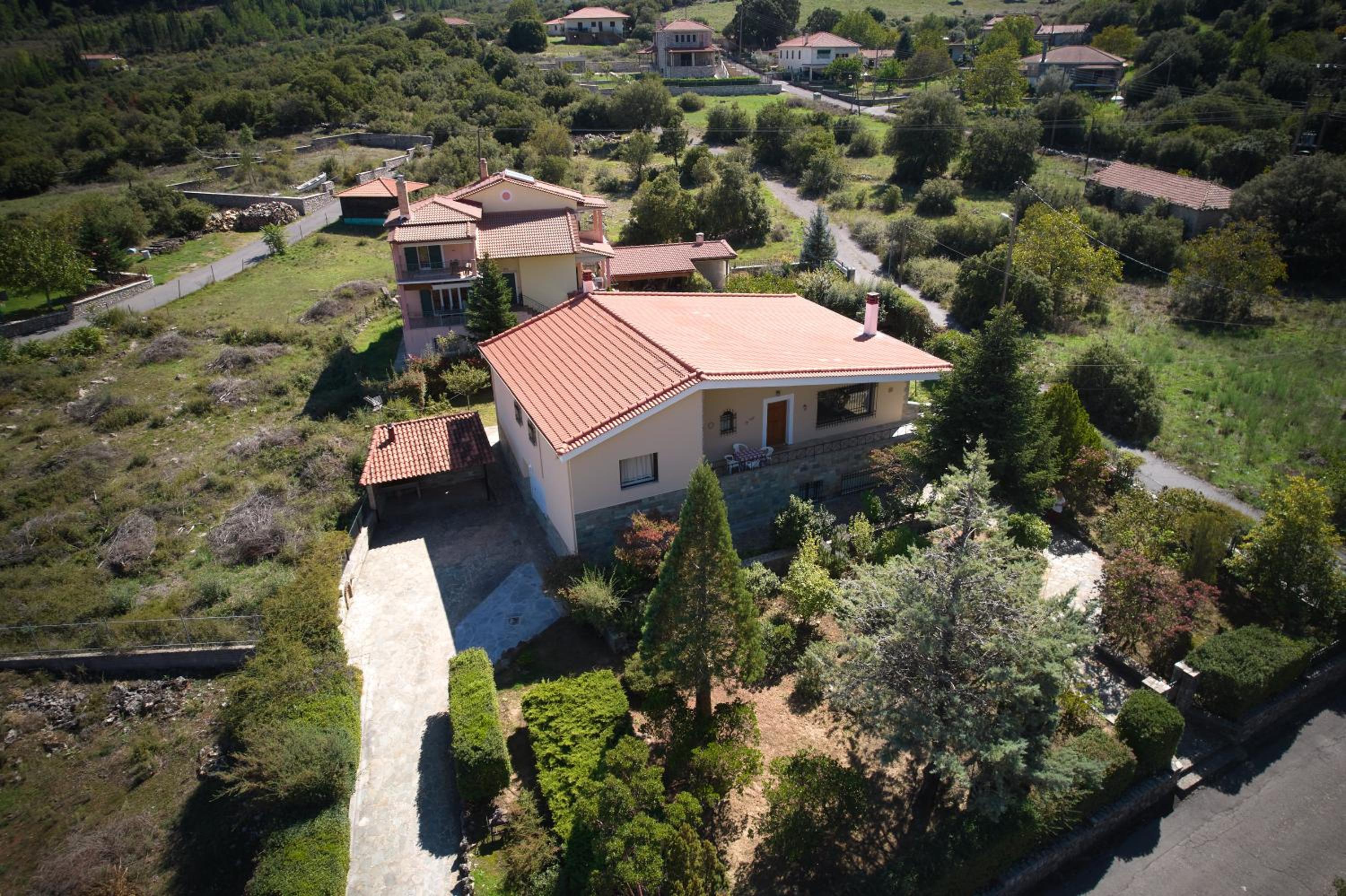 Levidi Horizon