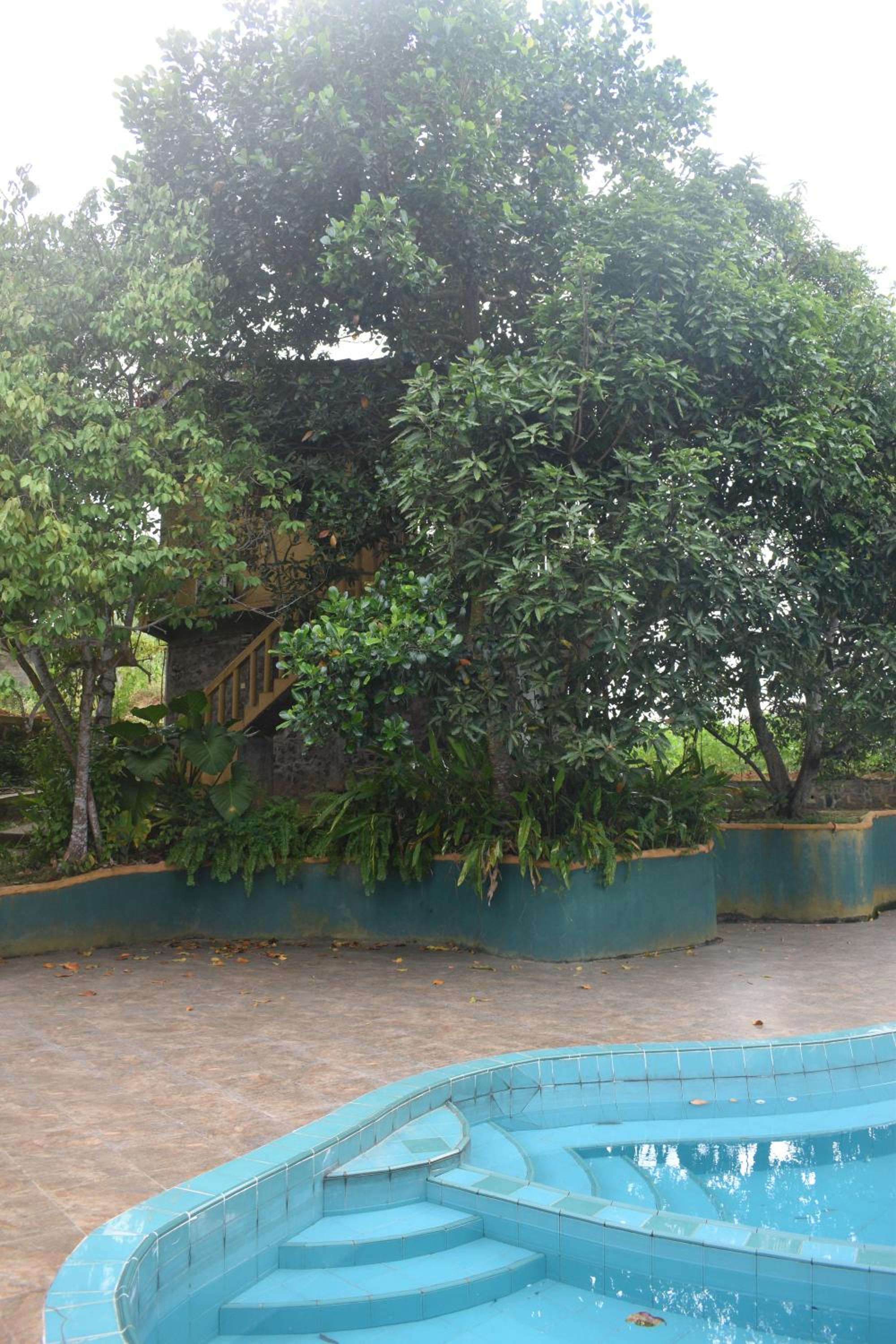 Shiny Lakeside Resort — photo 28