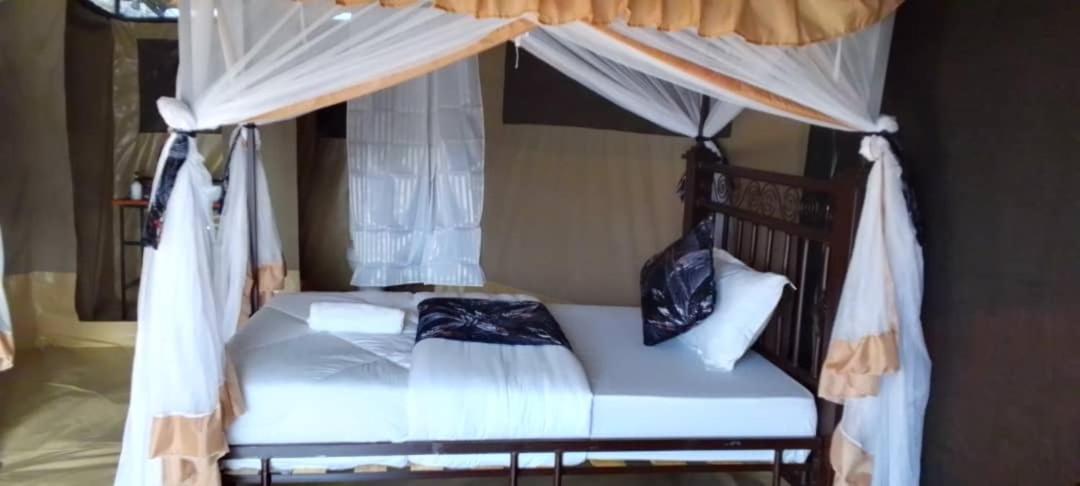 Robin Serengeti Camp