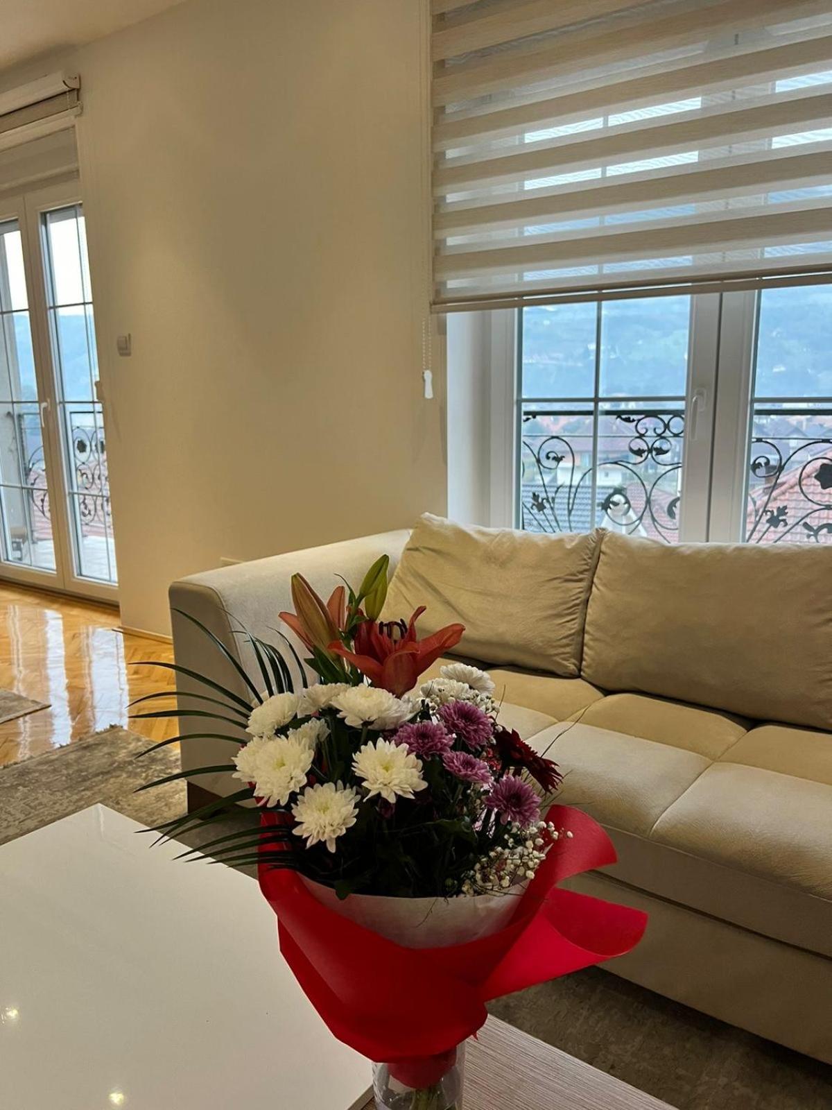 Luxury 2 Apartment view 5