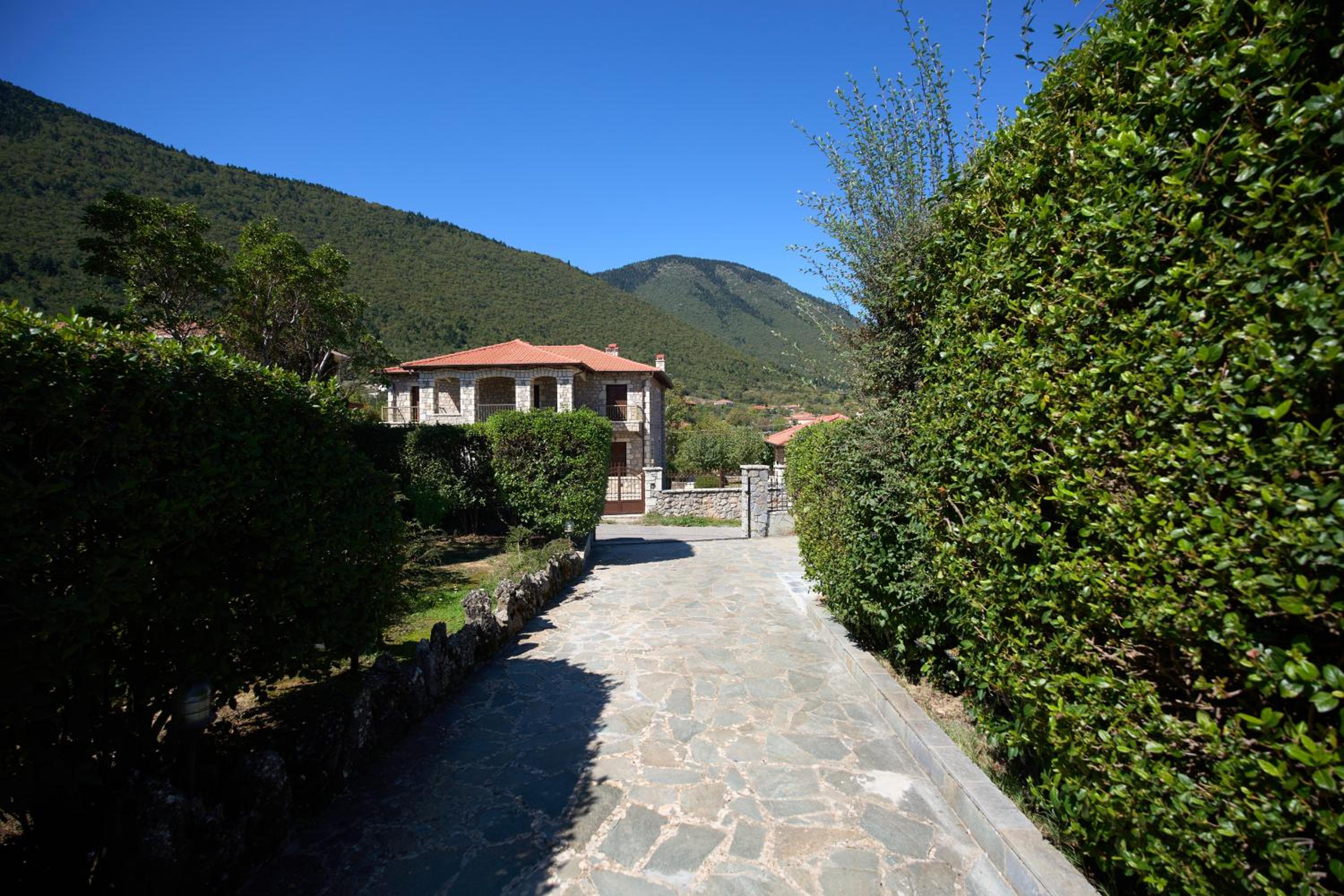 Levidi Horizon