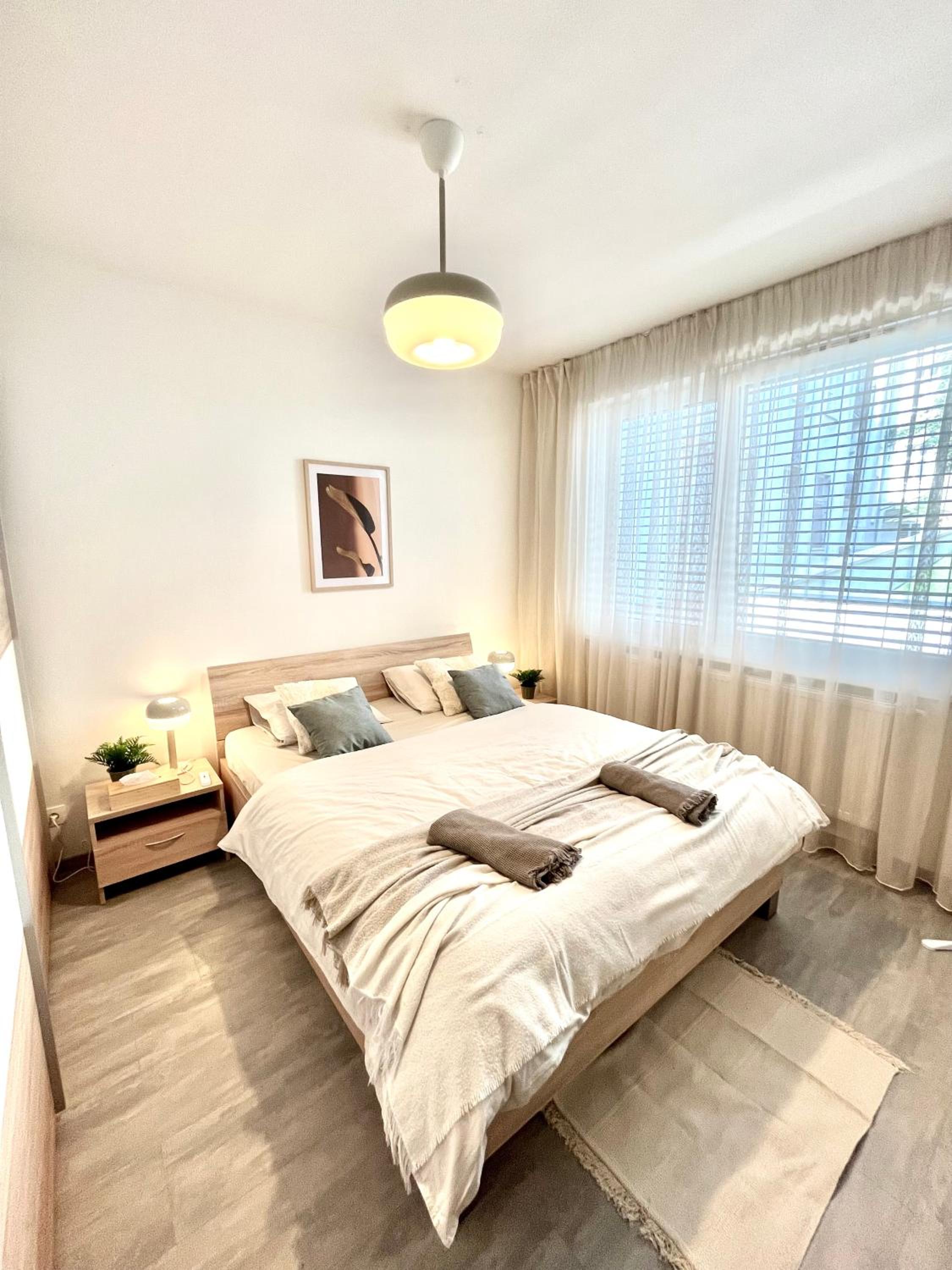 The Elite Suite downtown 2- Bedroom apt AC & garage parking view 4