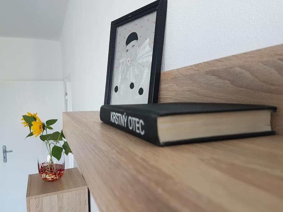 Spacious flat in wider centre of Nitra with balcony and free on-street parking