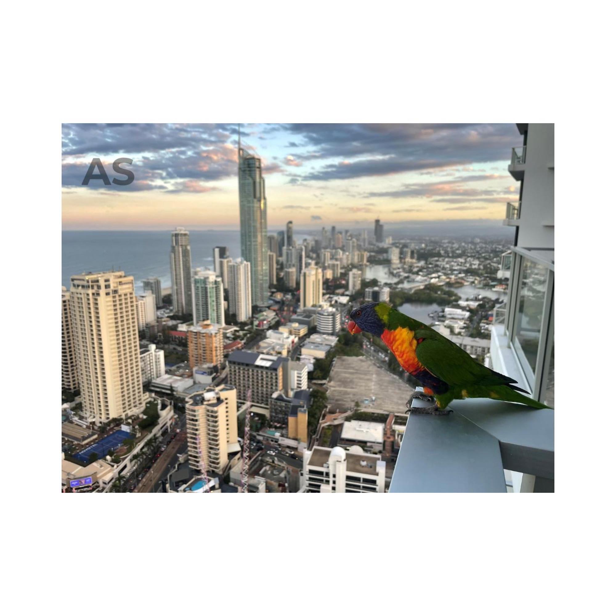 Circle on Cavill - Private Apartments - Apartment Stay photo 24 of 58