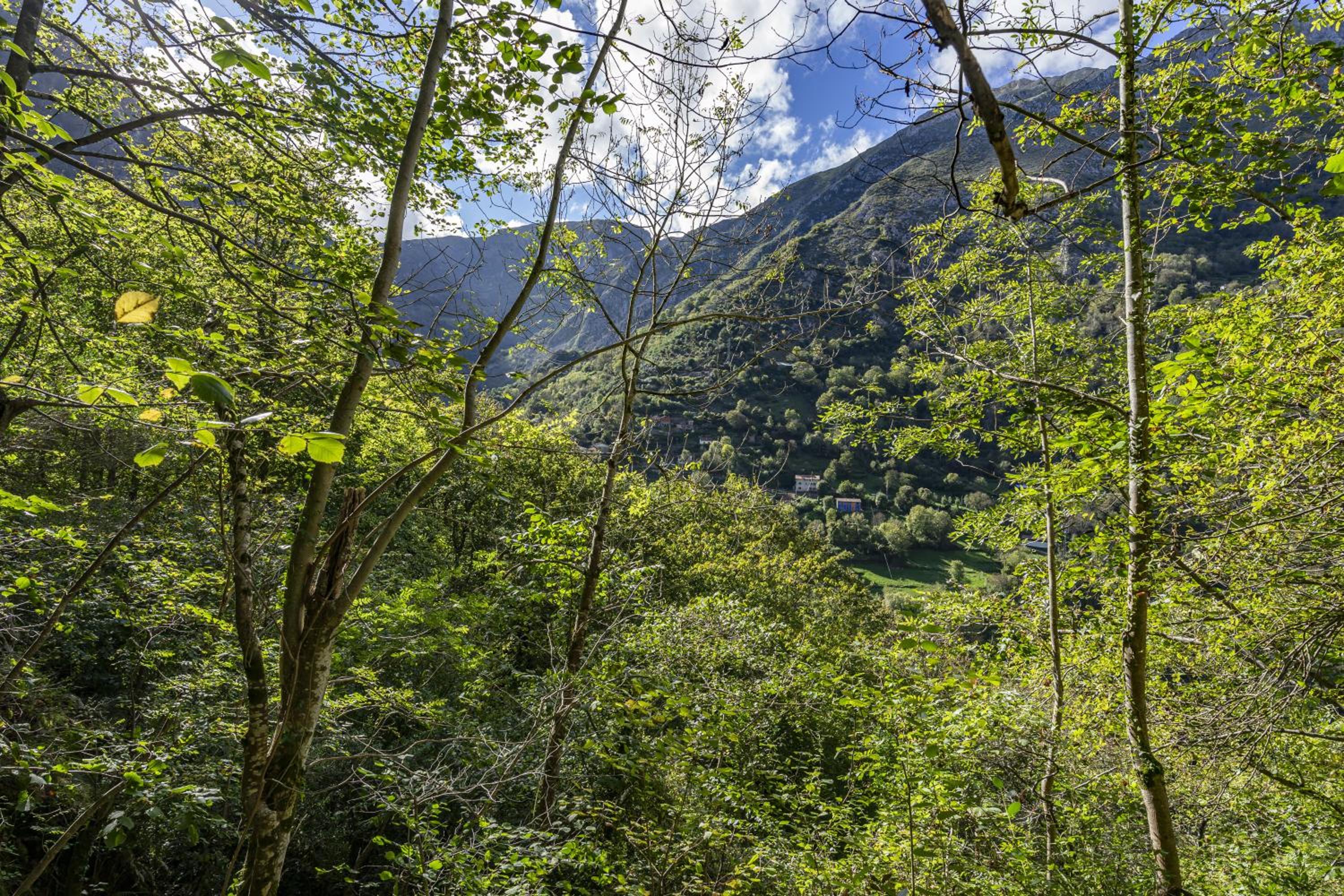Aguas Parque Ponga