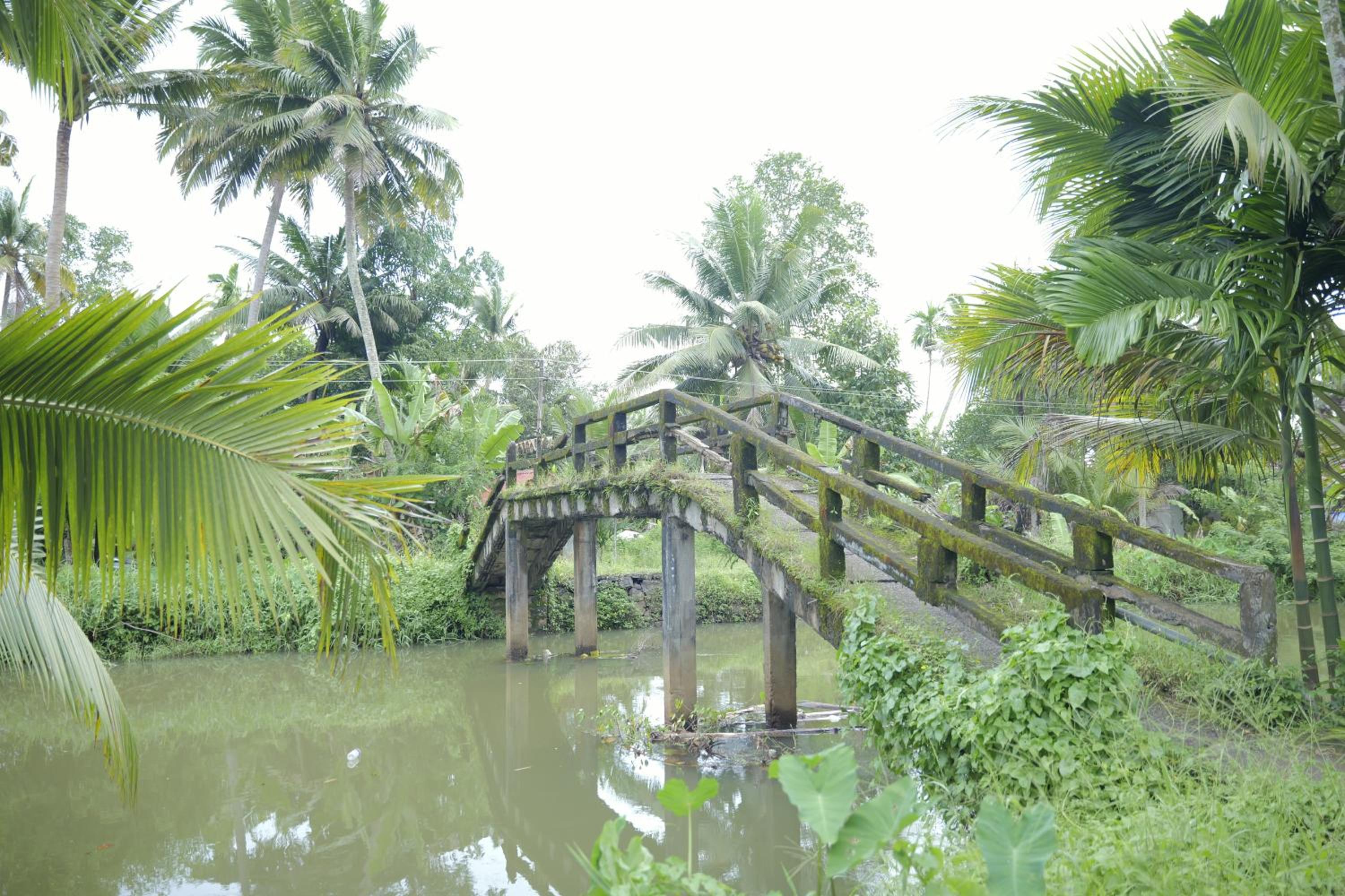 Neelambari - Exclusive Riverside Stay Only One Guest Group at a Time