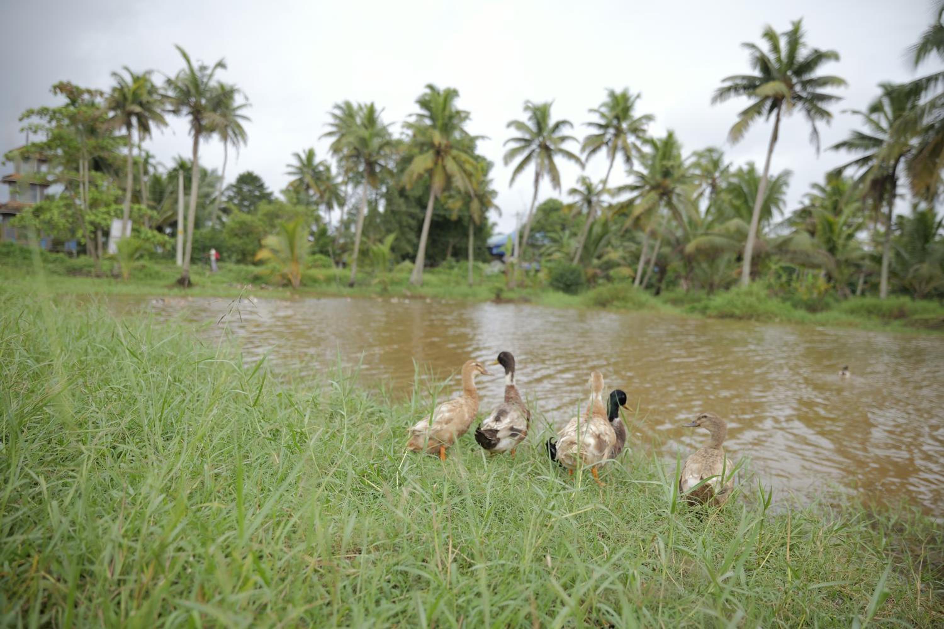 Neelambari - Exclusive Riverside Stay Only One Guest Group at a Time