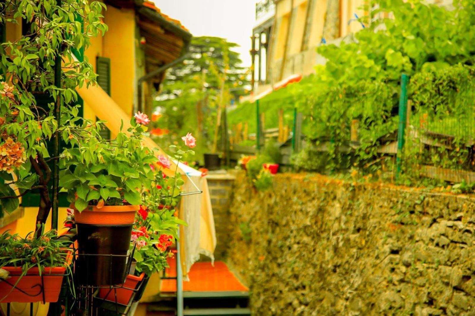 The Courtyard Retreat