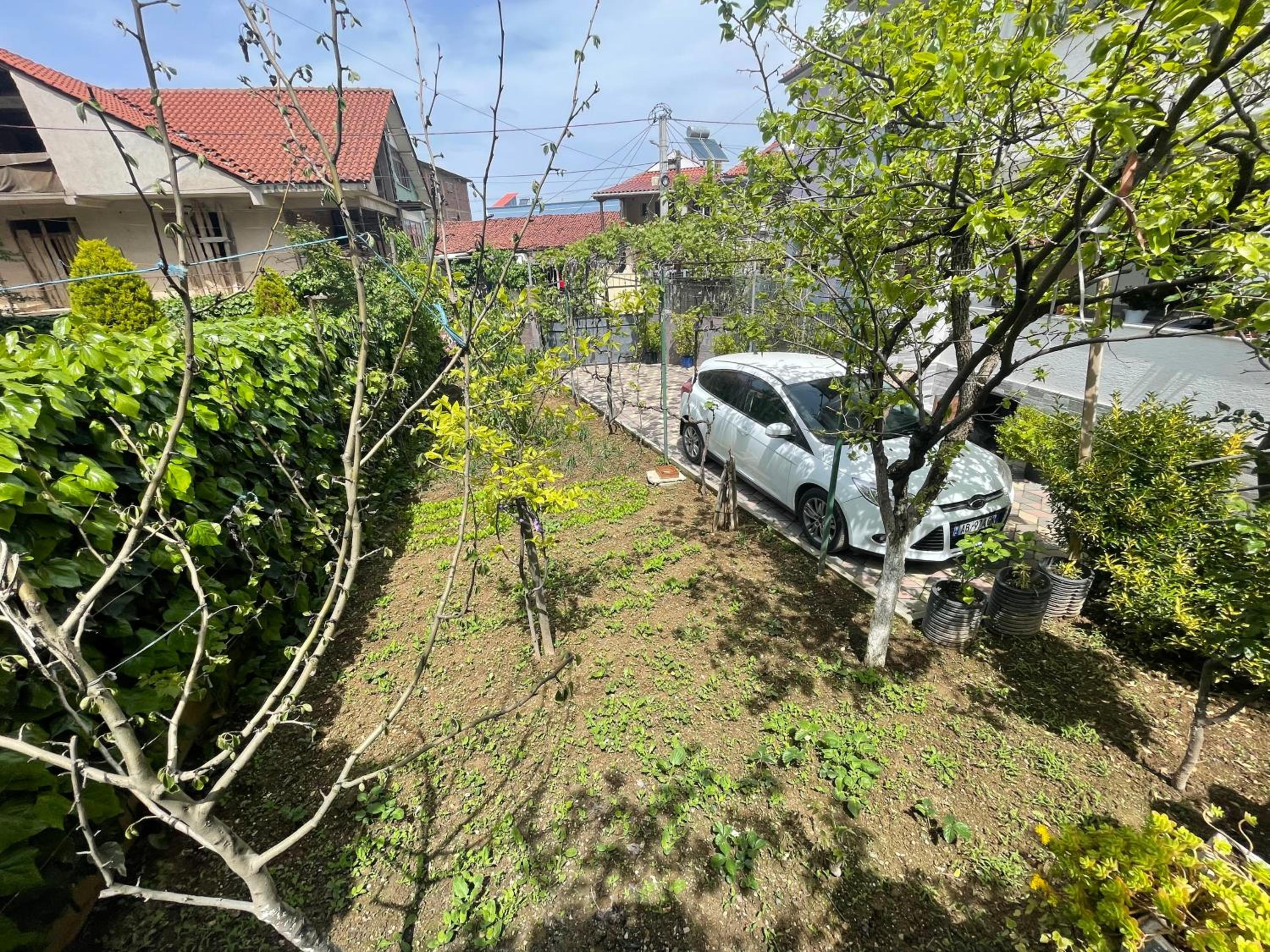 Guest House Pogradec 1