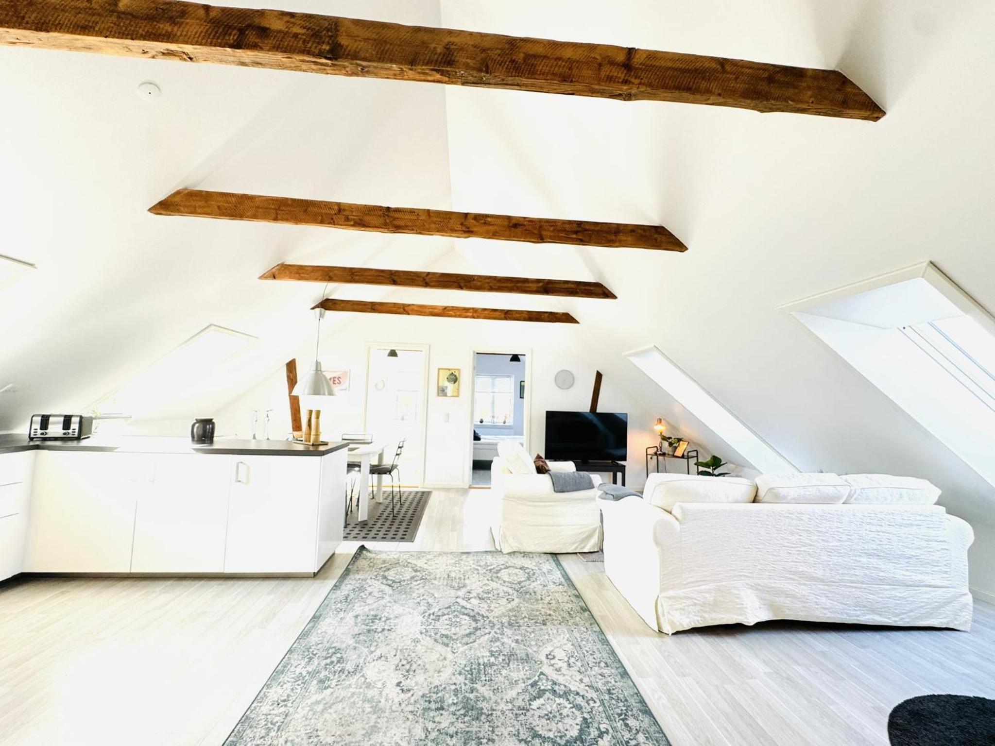 aday - 4 Bedrooms Penthouse in Langholt view 3