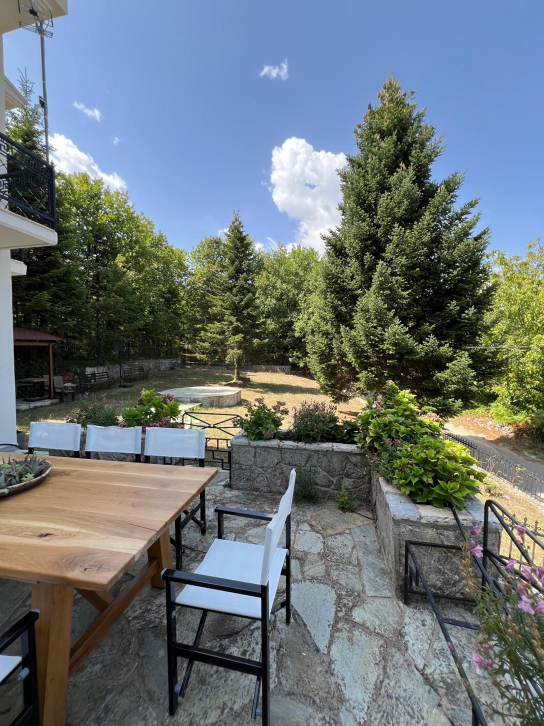 Cedar forest house