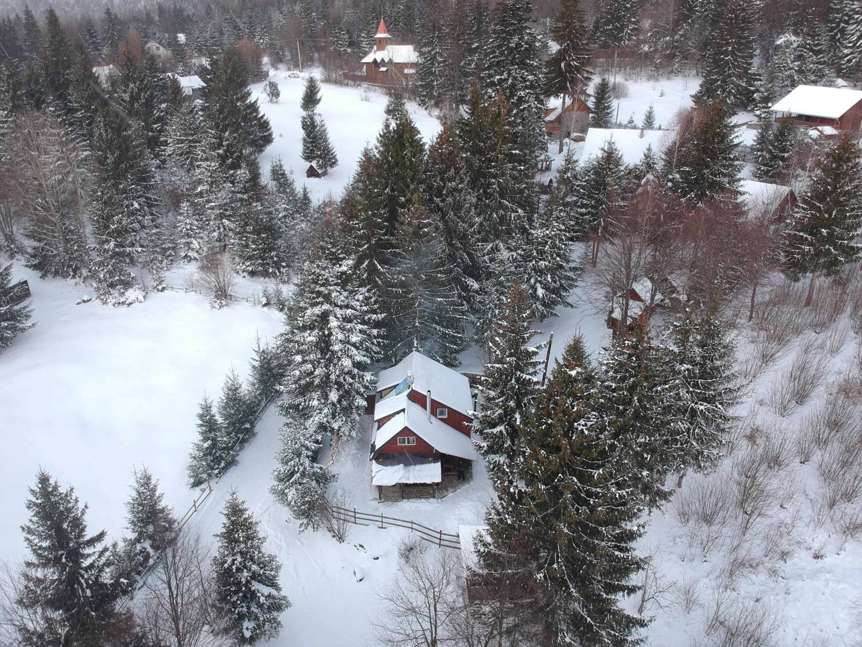 Vén Fenyő Kunyhó view 5
