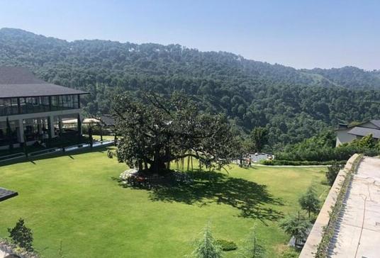 Storii By ITC Hotels, Amoha Retreat Dharamshala view 2