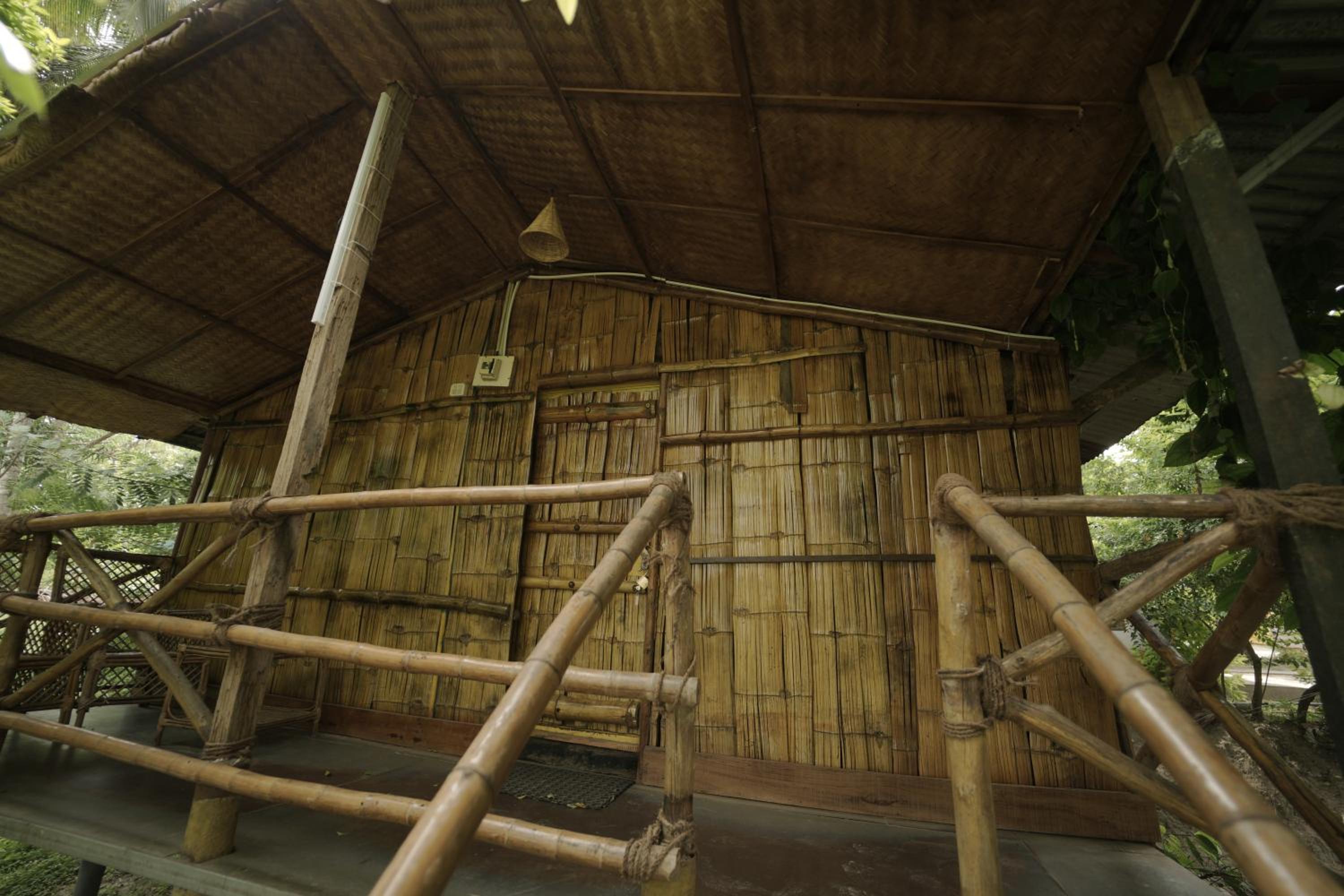 Photo 11
