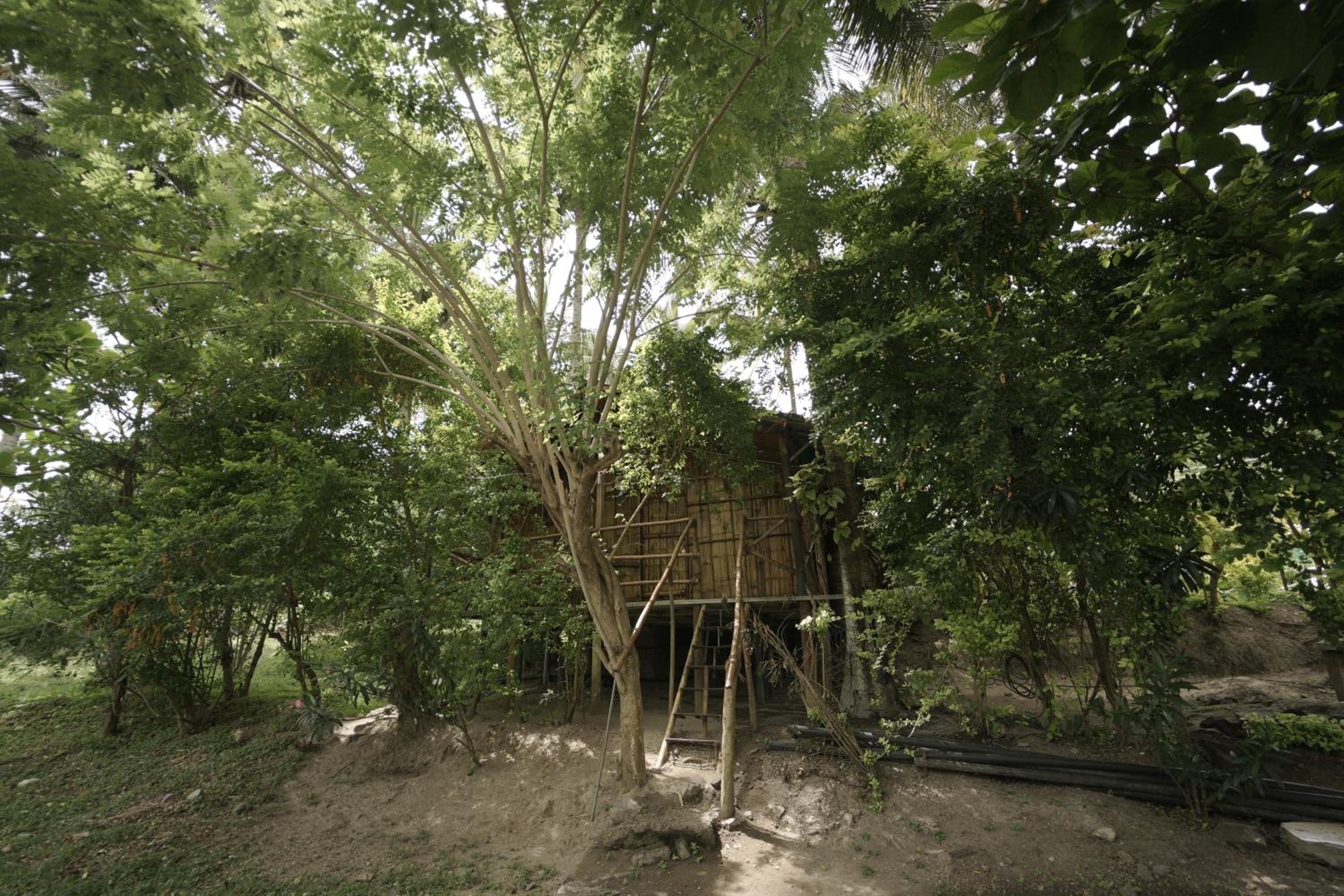 Photo 48