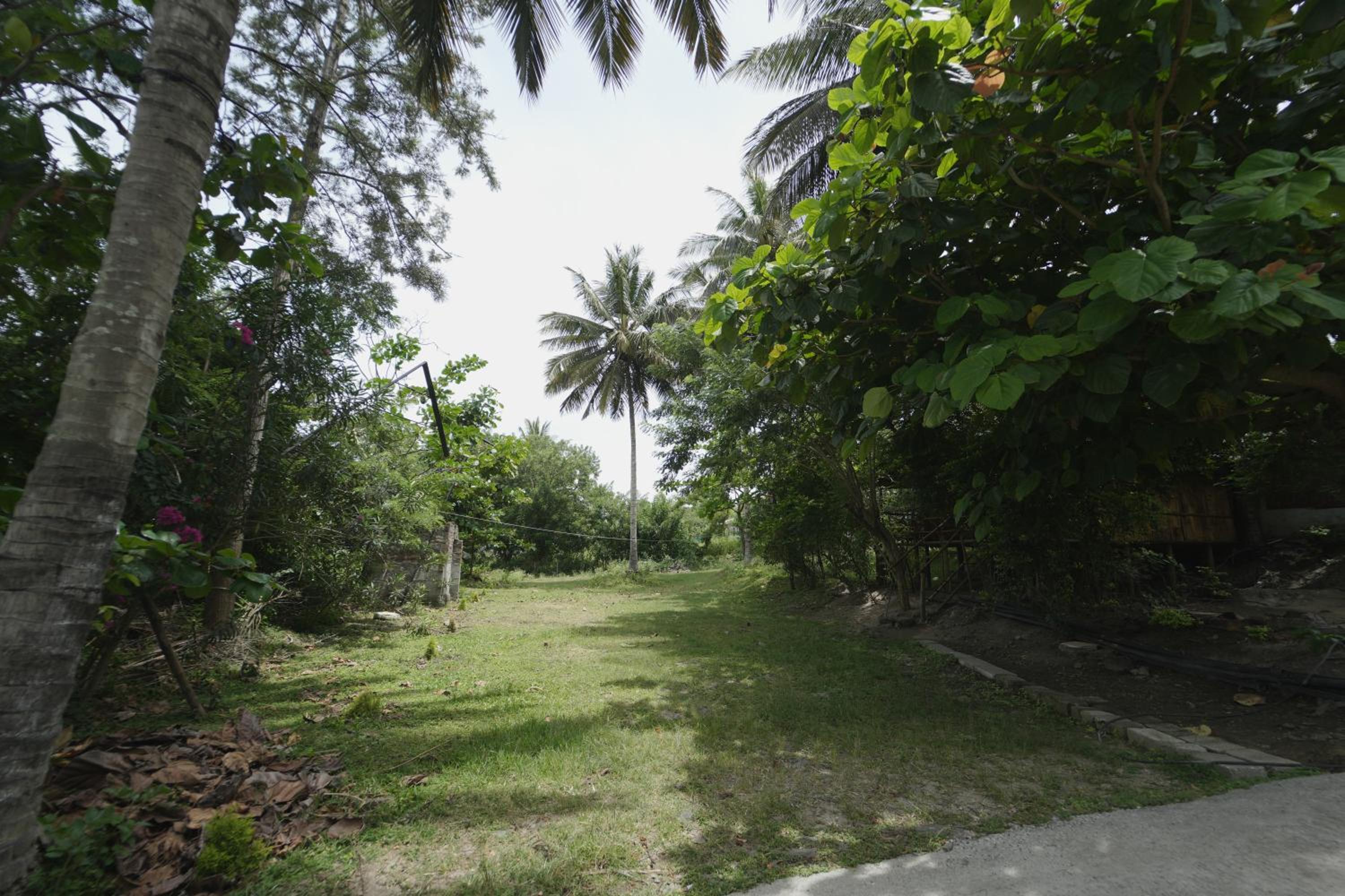 Photo 47
