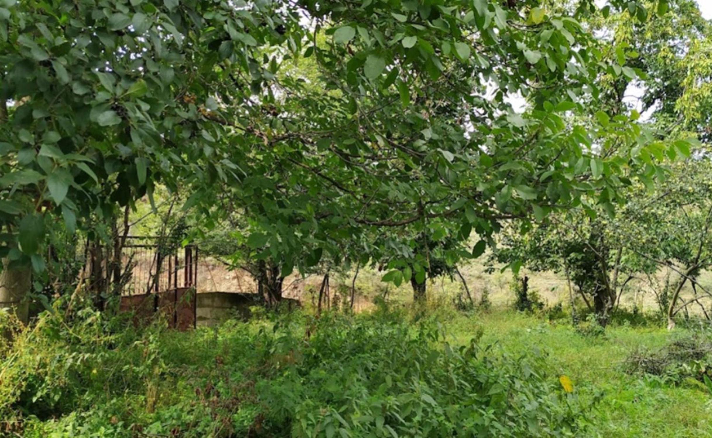 Vahagni Toon