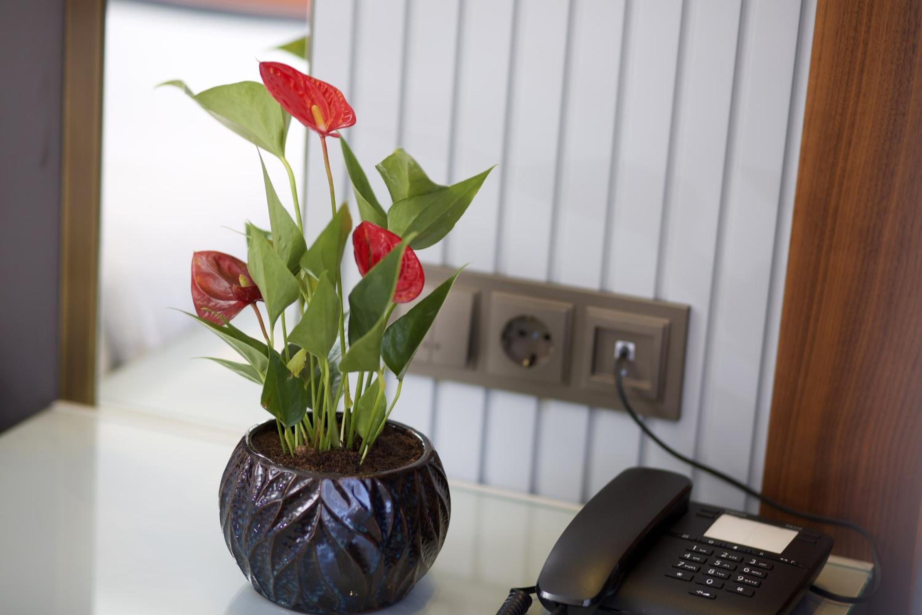 Eyfel Otel - Image 9