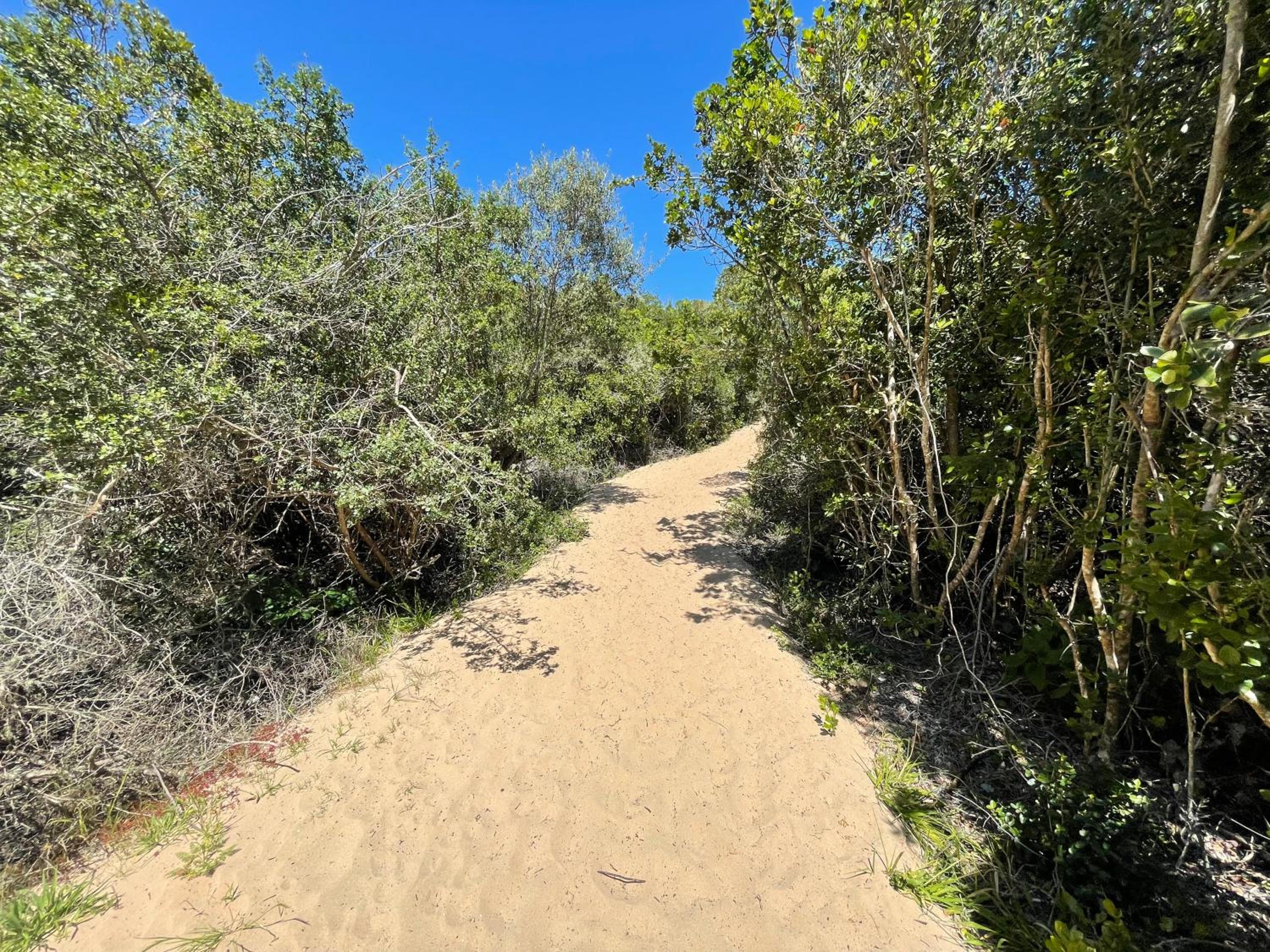 Keurbooms Riverview No 40 Plett
