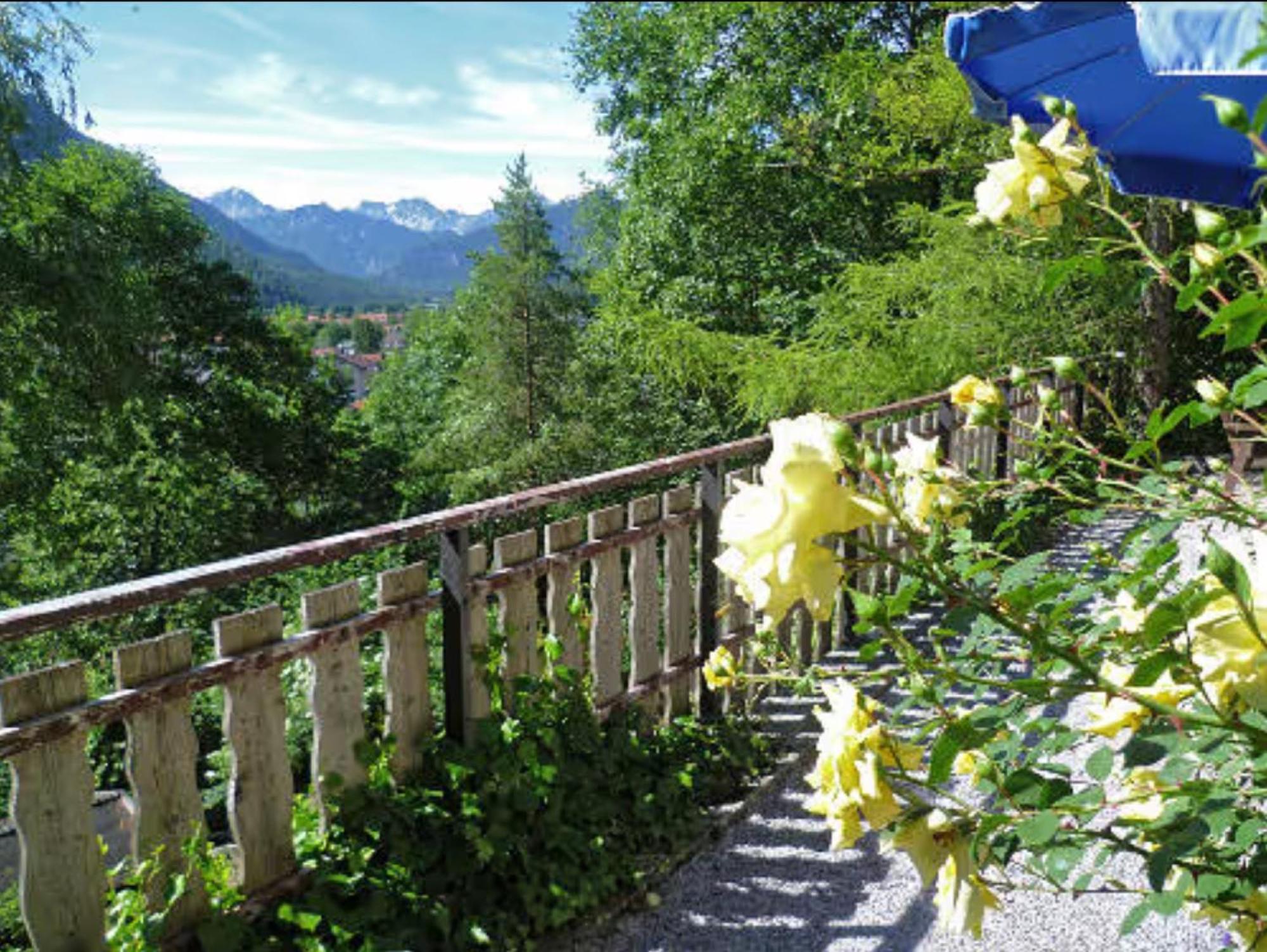 Ferienhaus Zaunkönig