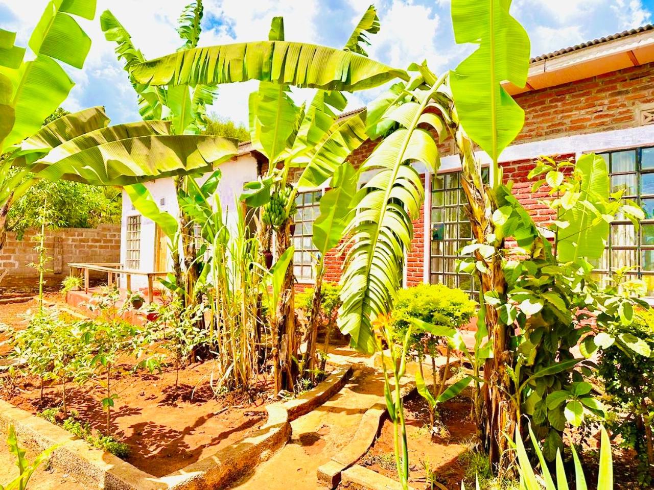 Sonofjohnhomestay
