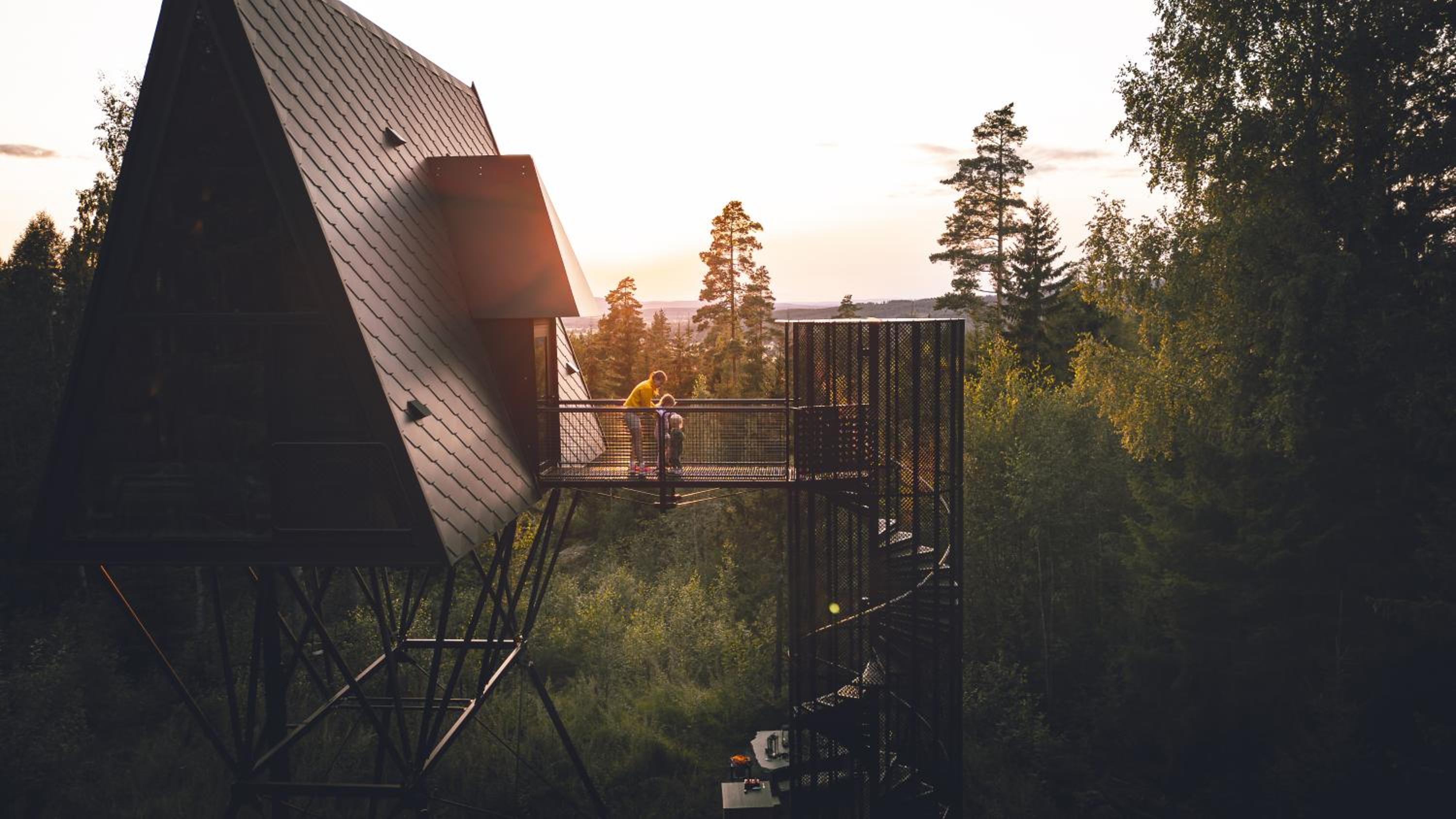 PAN Treetop Cabins view 5