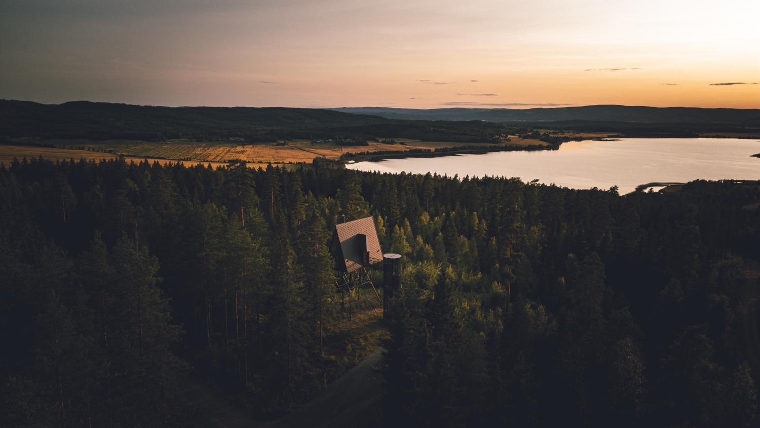 PAN Treetop Cabins view 2