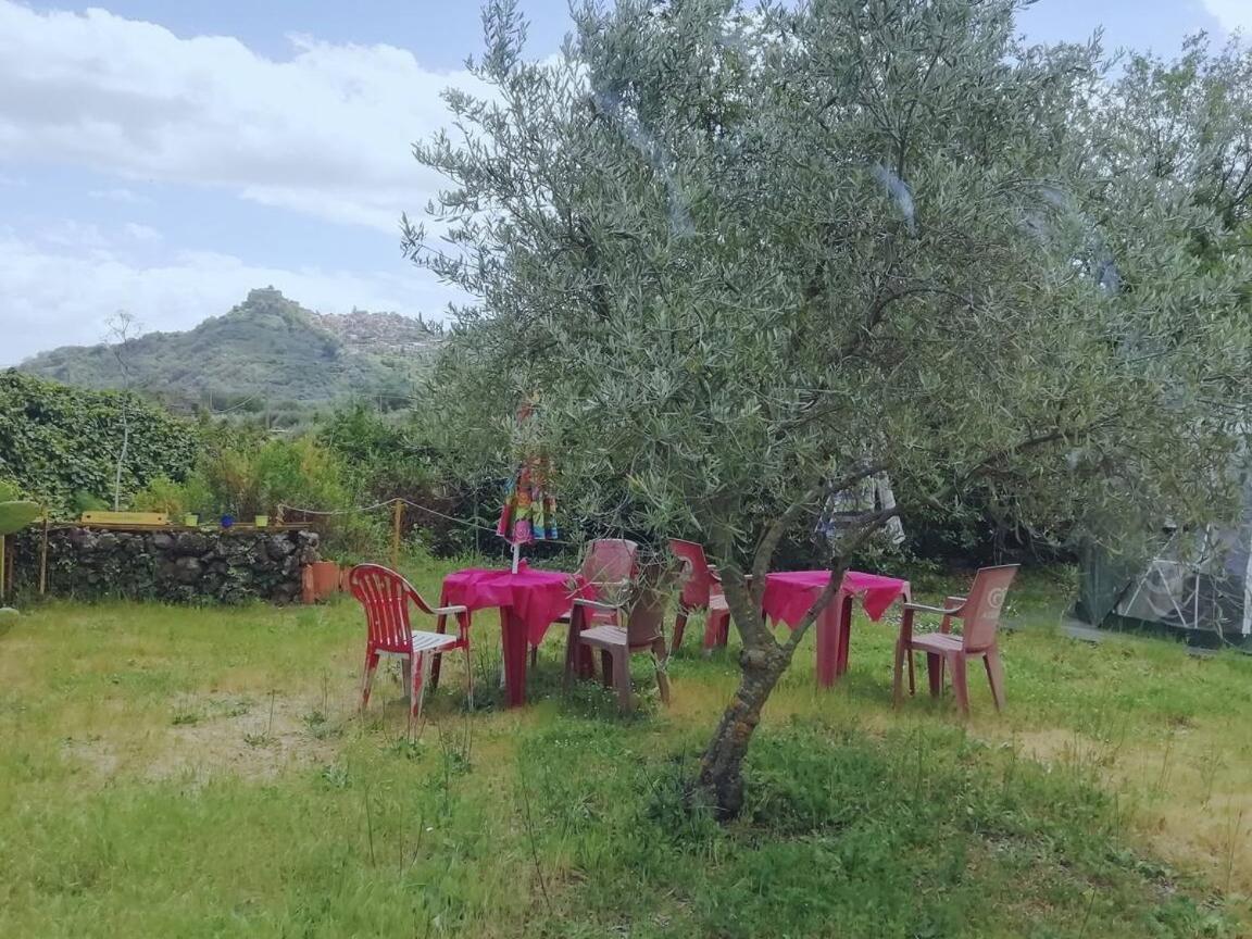 Casetta in legno tra gli alberi view 2