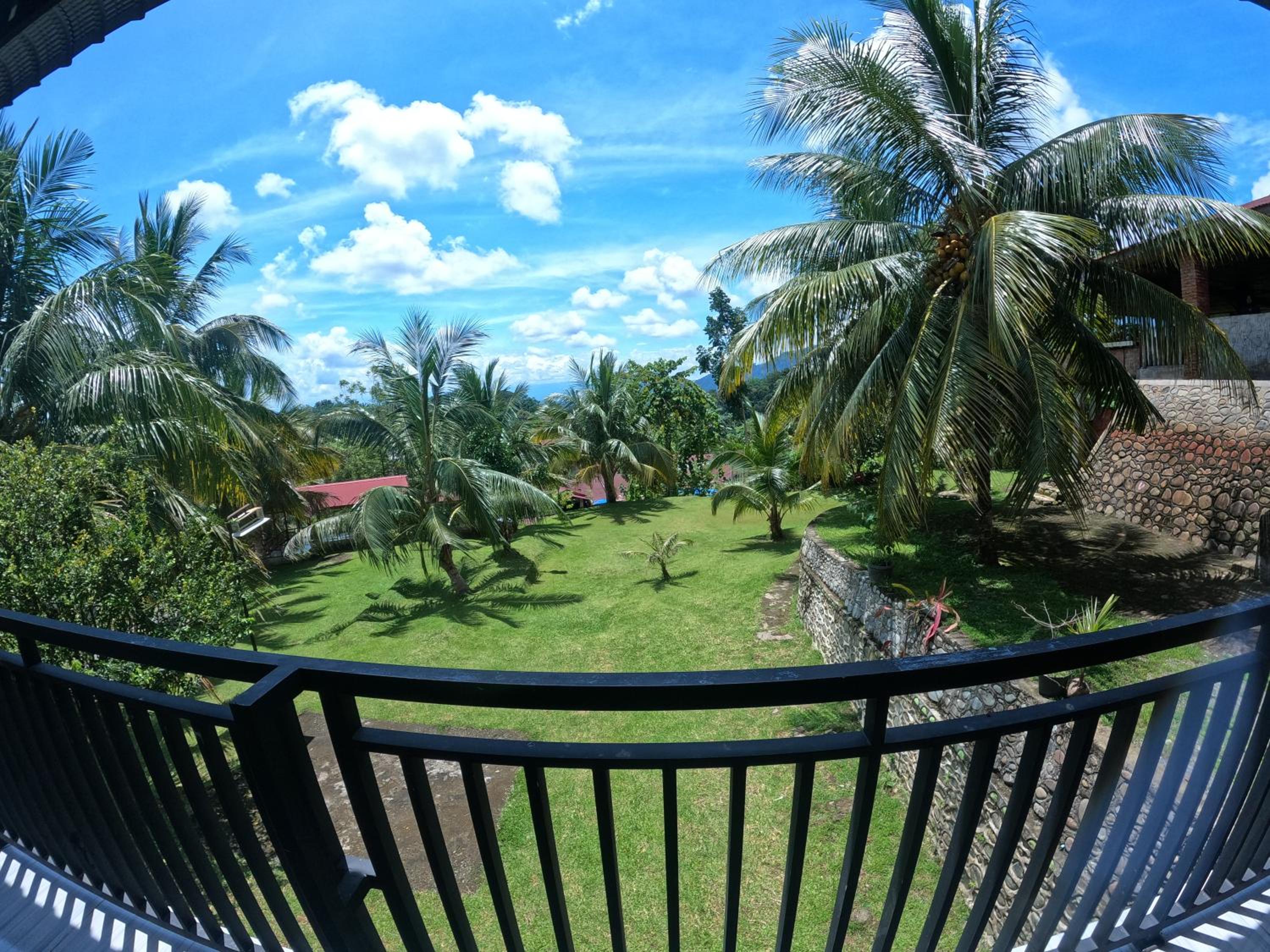 Wild Gibbon Guesthouse view 5