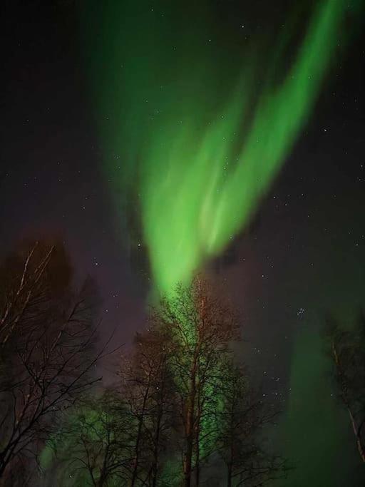 Polar River Villa